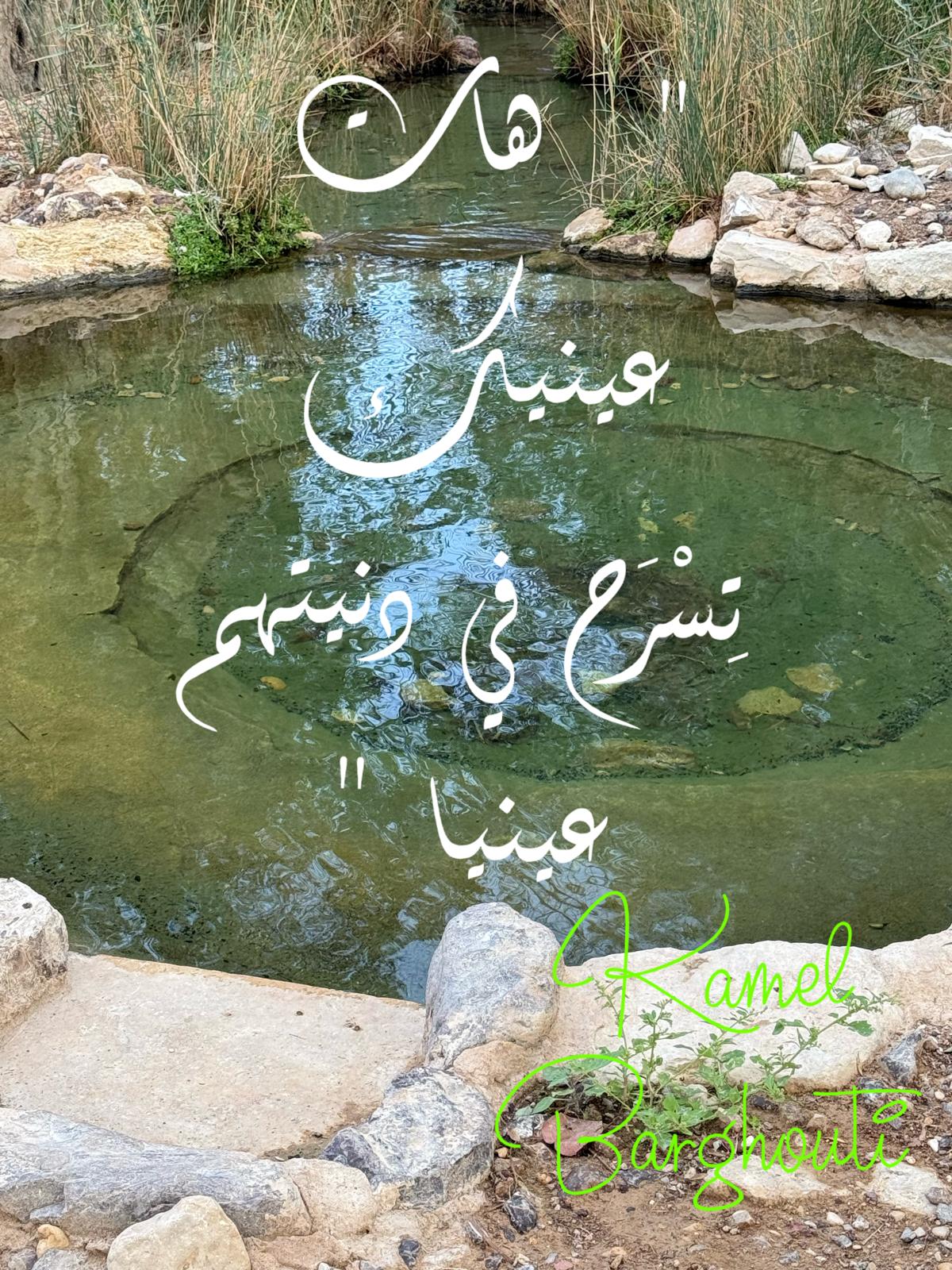 حب وحنين – اقتباس 292