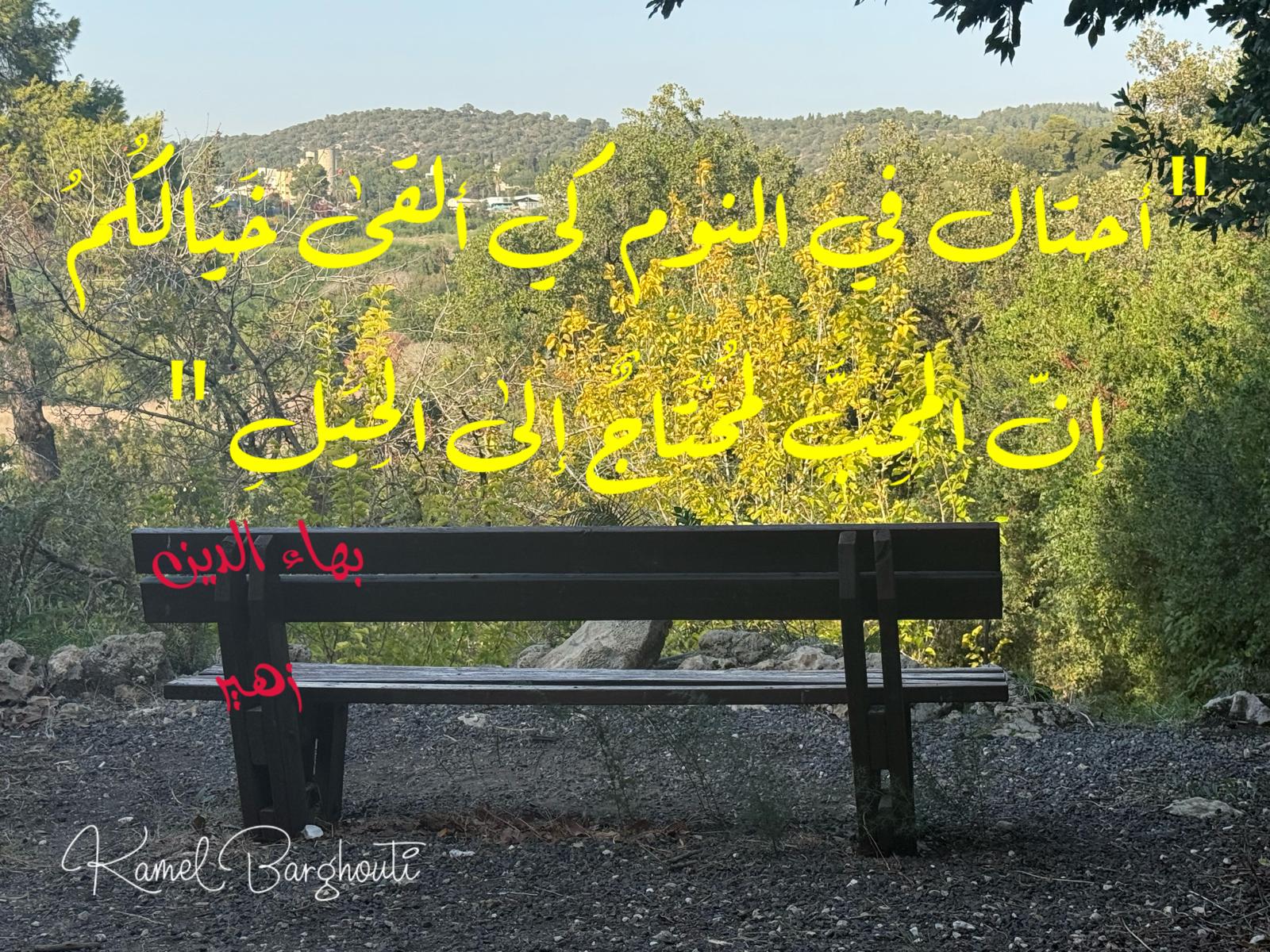حب وحنين – اقتباس 287