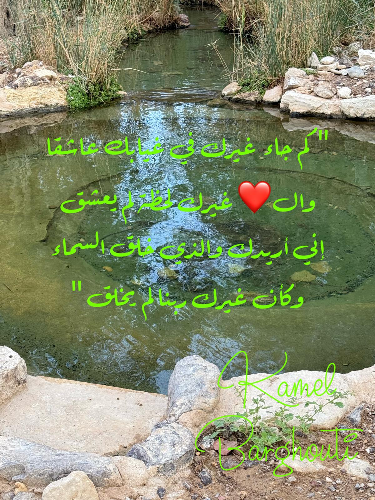 حب وحنين – اقتباس 284