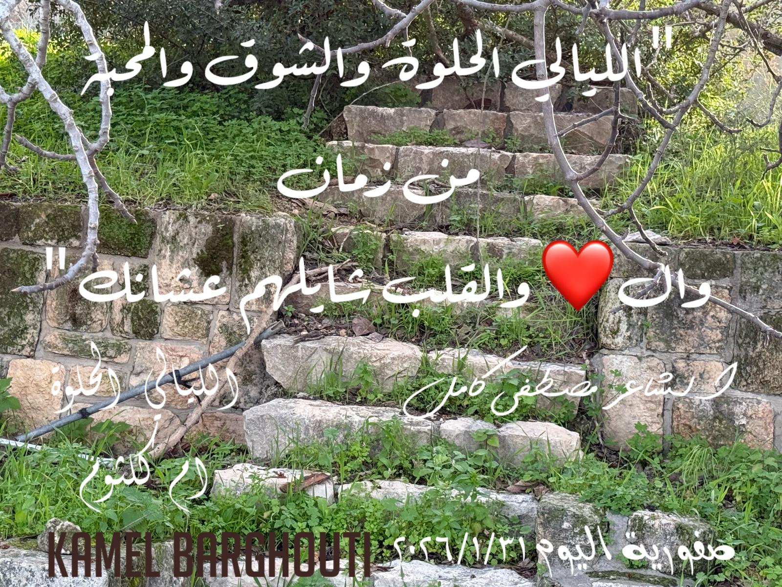 حب وحنين – اقتباس 272