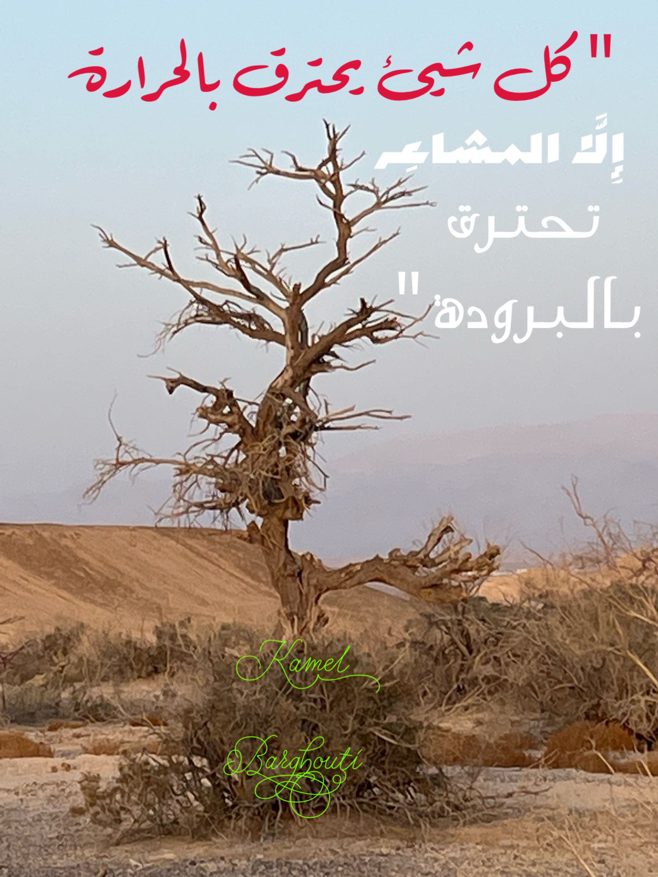 حب وحنين – اقتباس 282