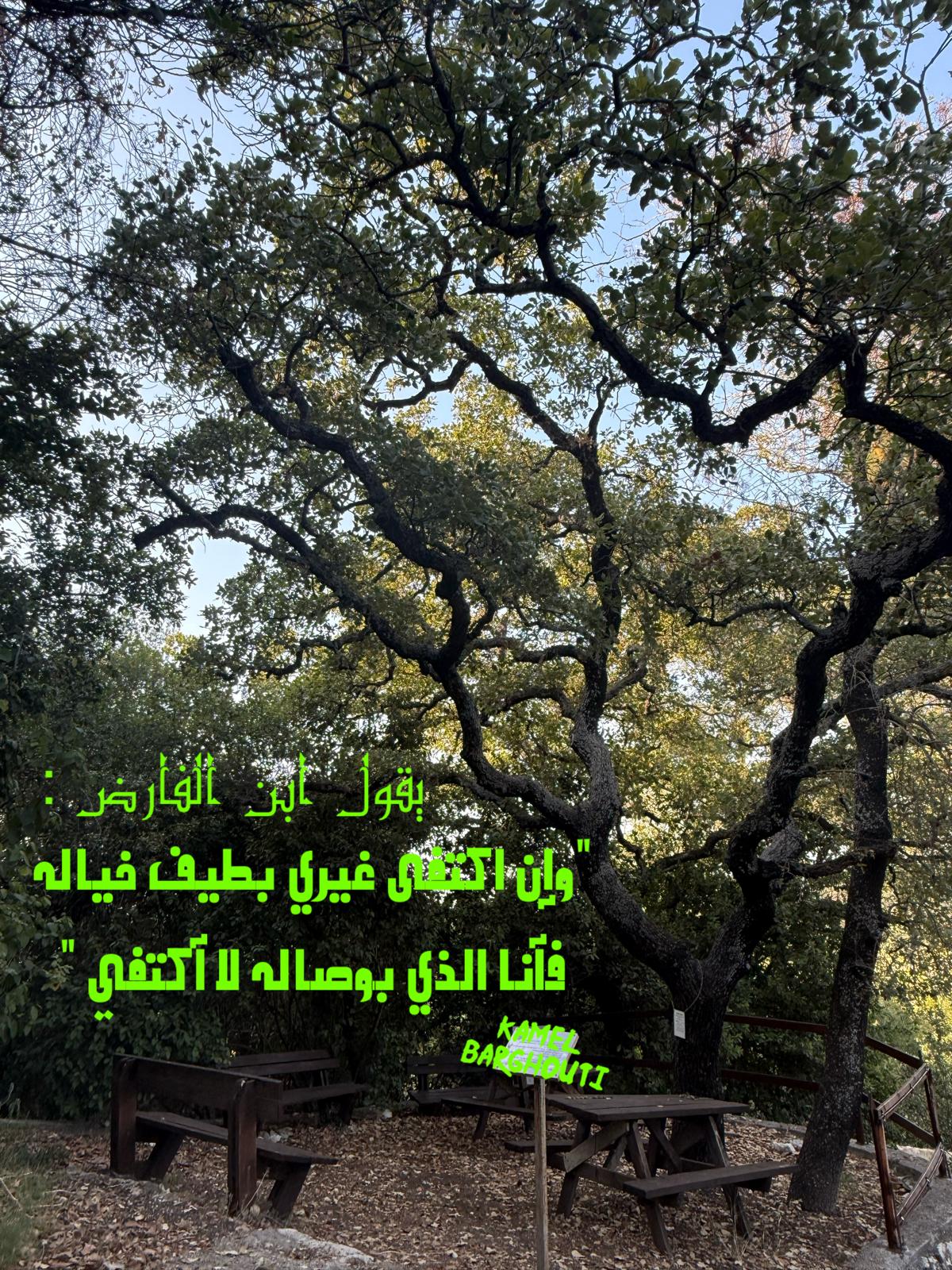 حب وحنين – اقتباس 281
