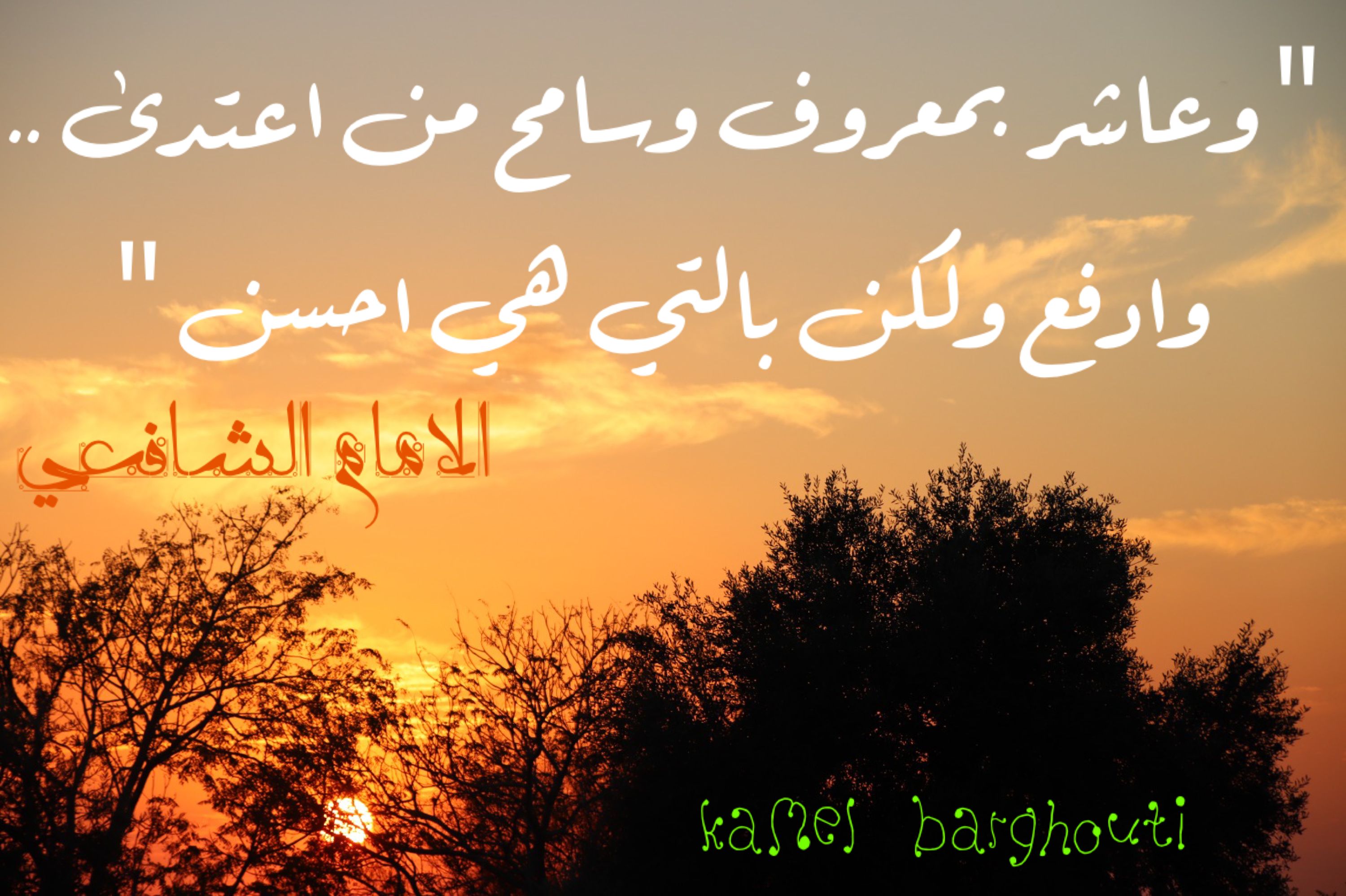 حب وحنين – اقتباس 278