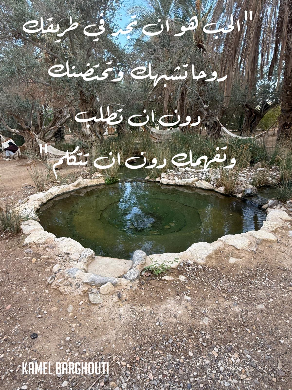 حب وحنين – اقتباس 277