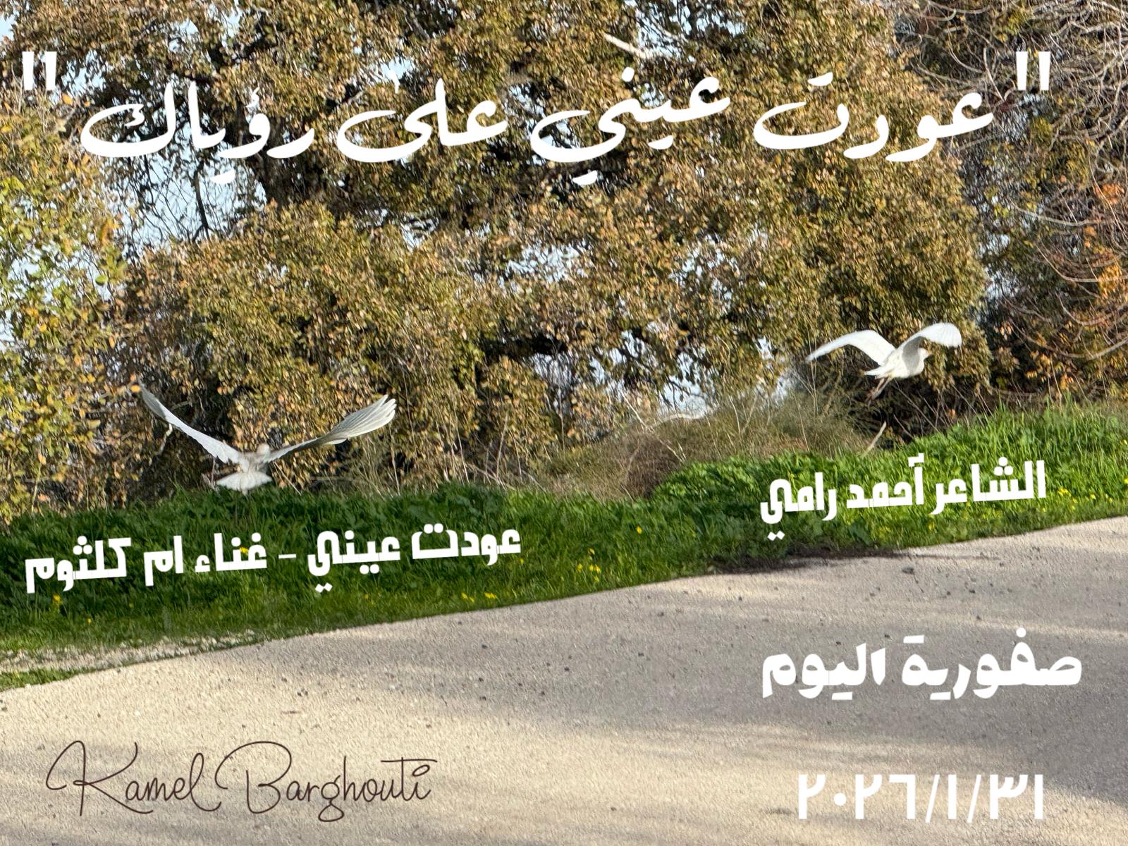 حب وحنين – اقتباس 273
