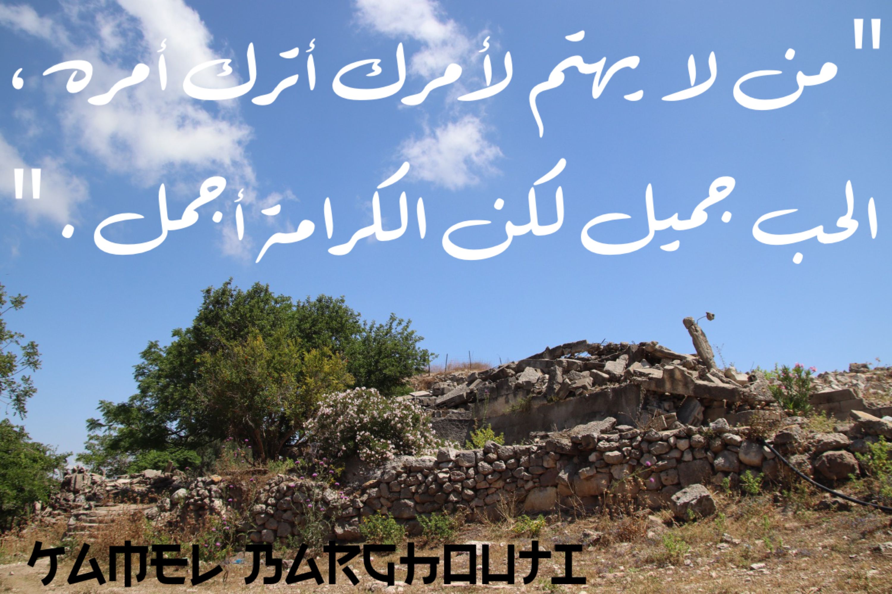 حب وحنين – اقتباس 230