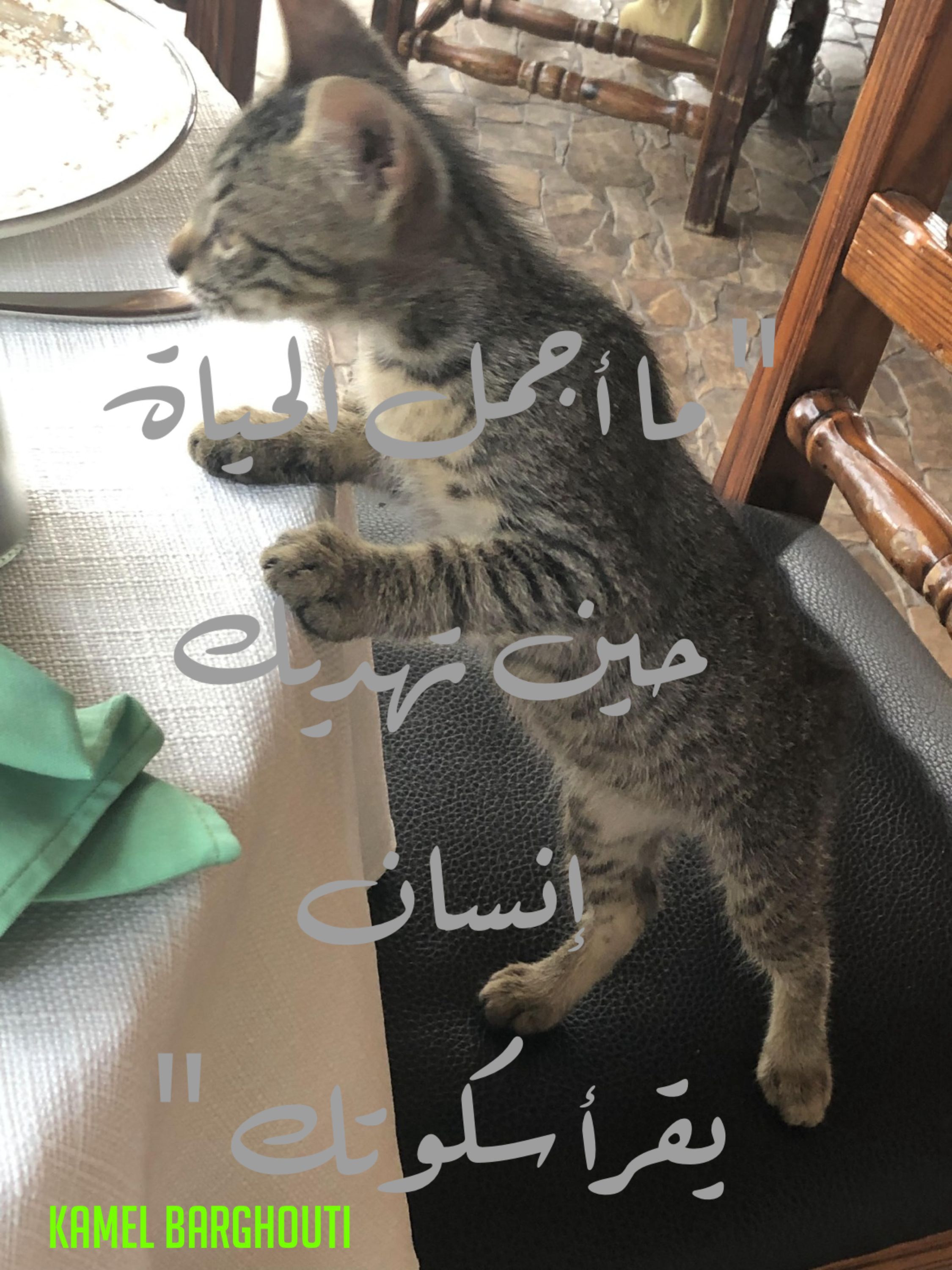 حب وحنين – اقتباس 247