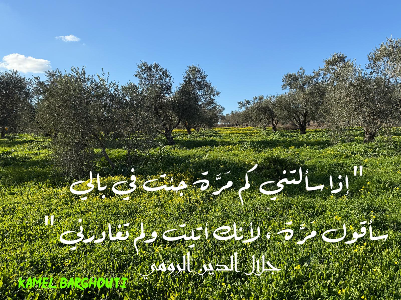 حب وحنين – اقتباس 257