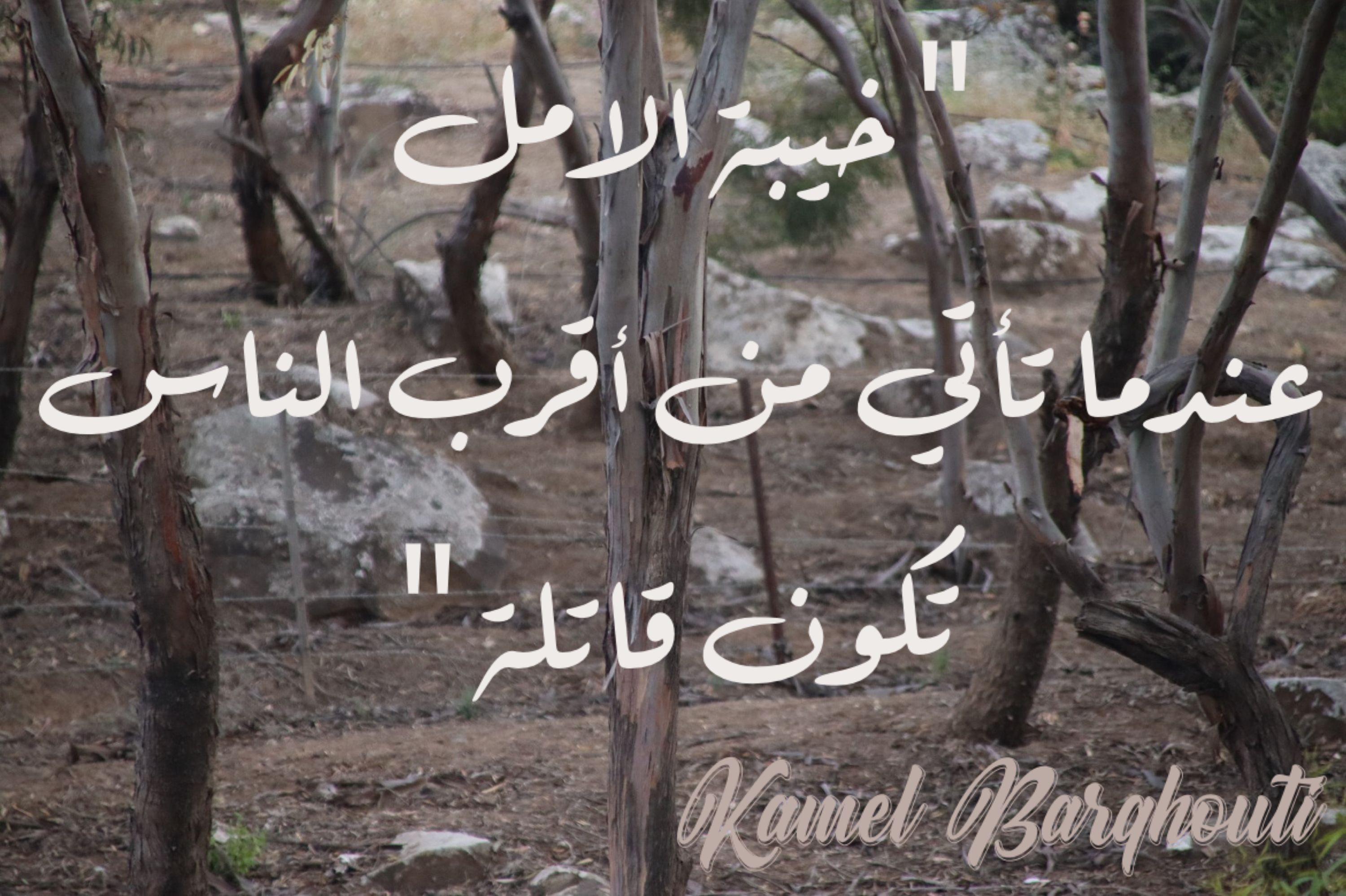 حب وحنين – اقتباس 260