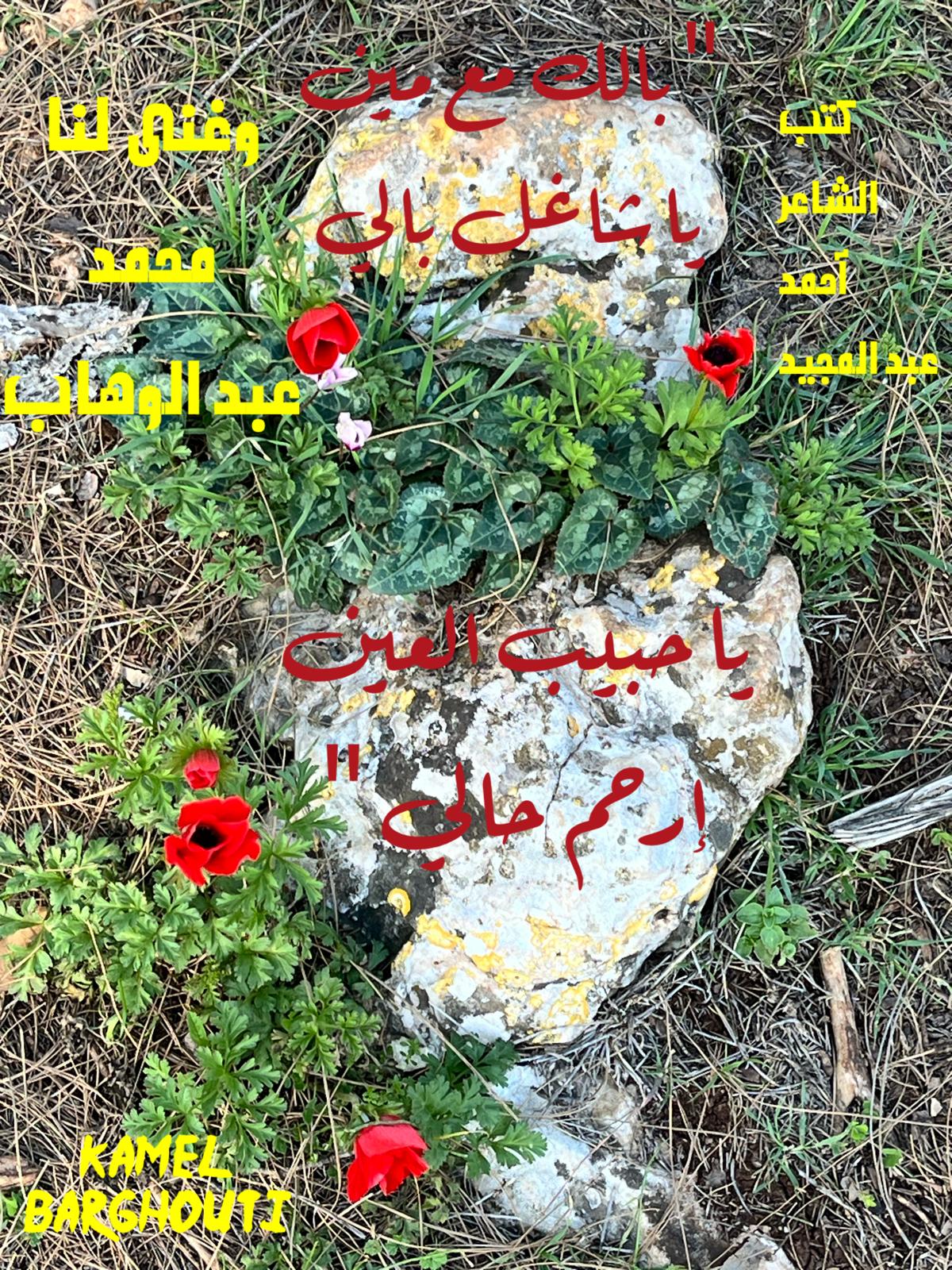 حب وحنين – اقتباس 259