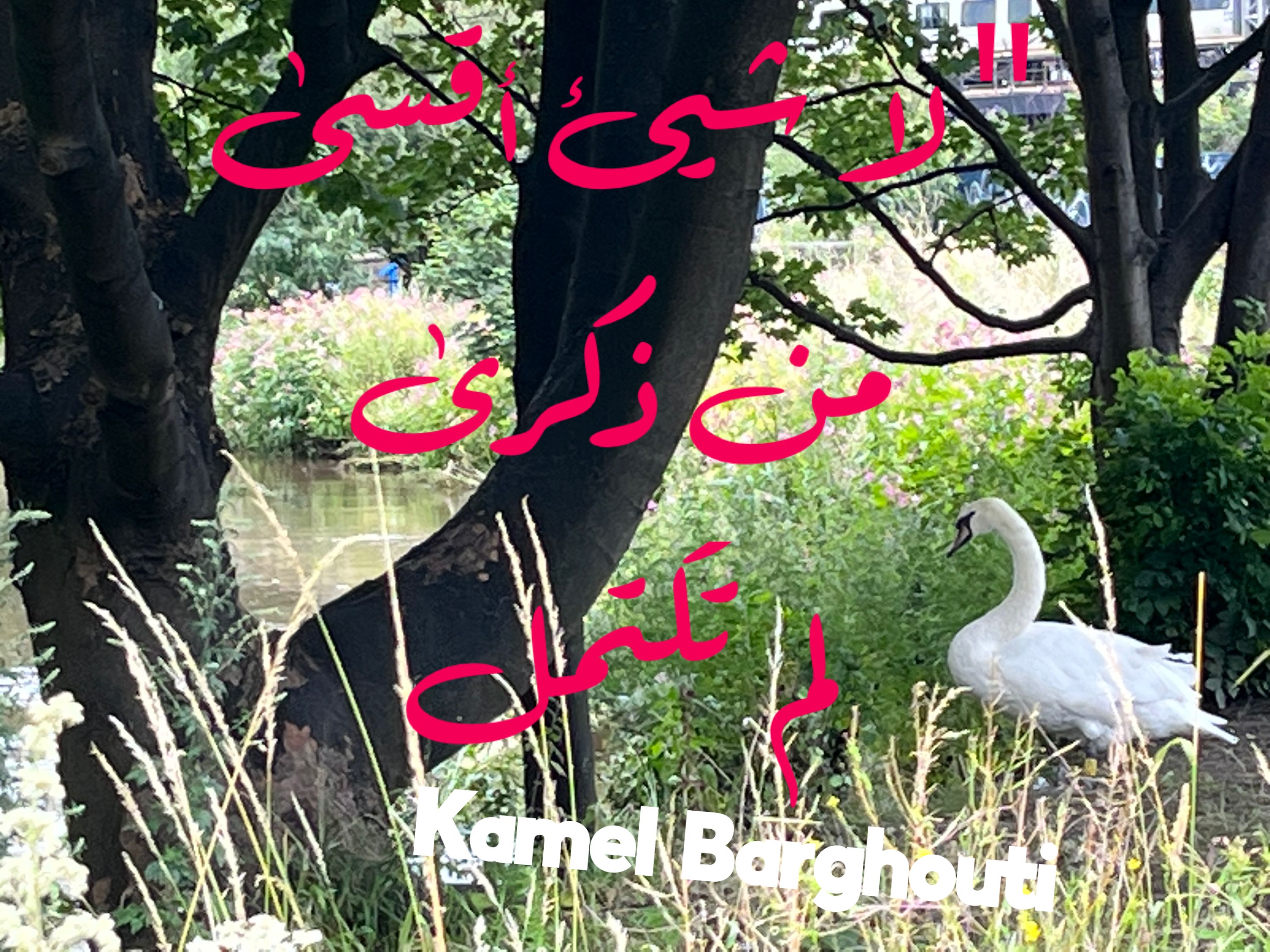 حب وحنين – اقتباس 195
