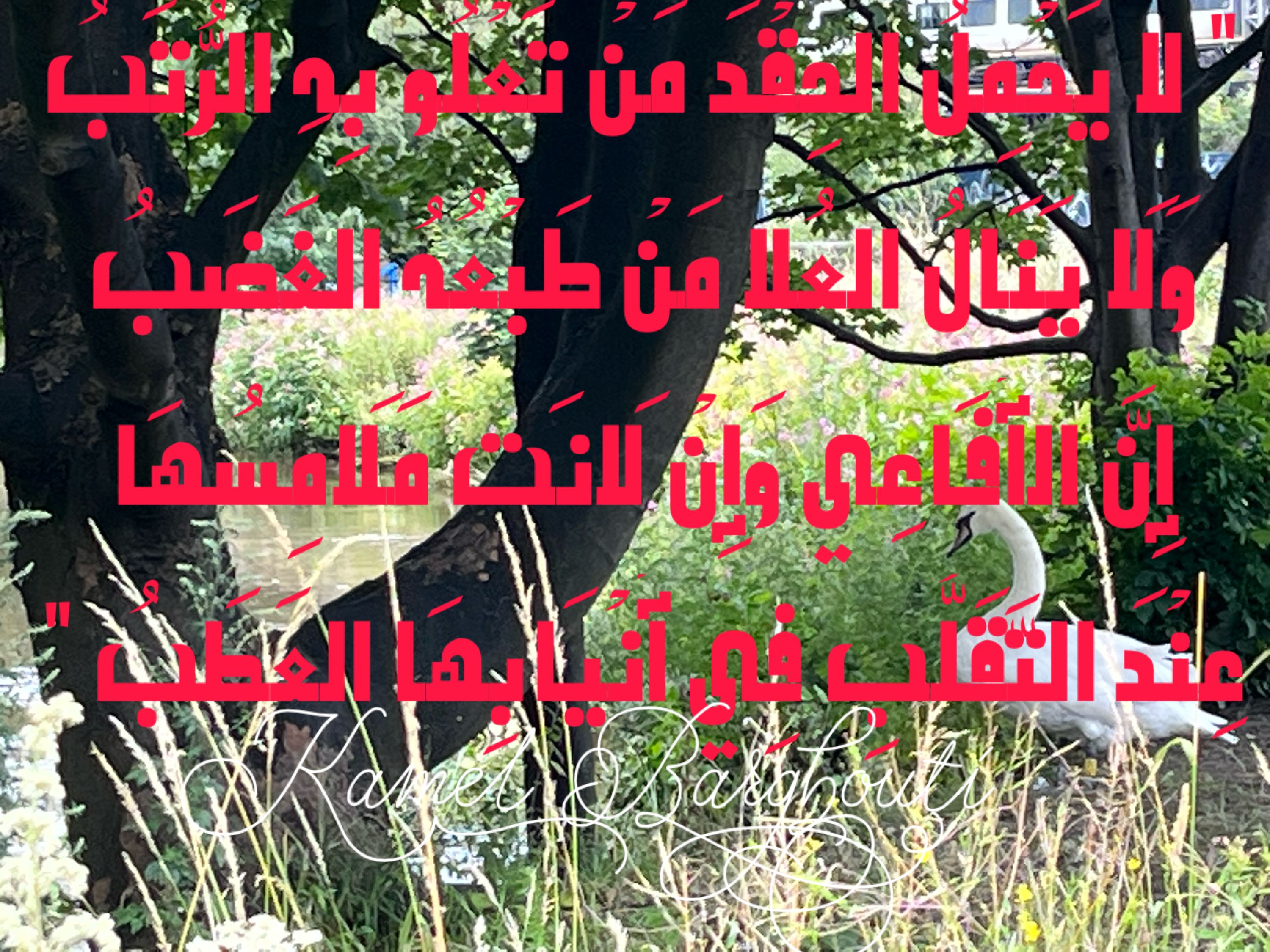 حب وحنين – اقتباس 200