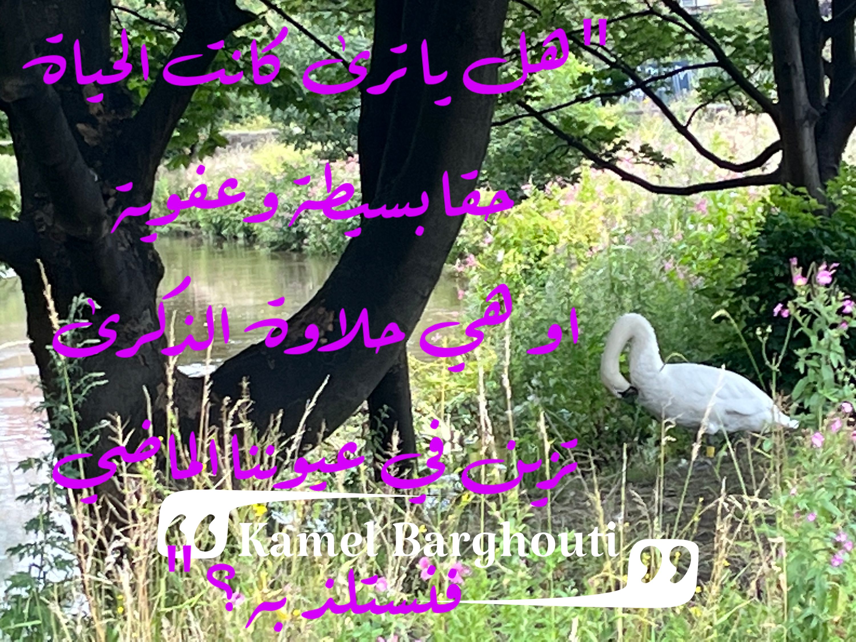حب وحنين – اقتباس 203