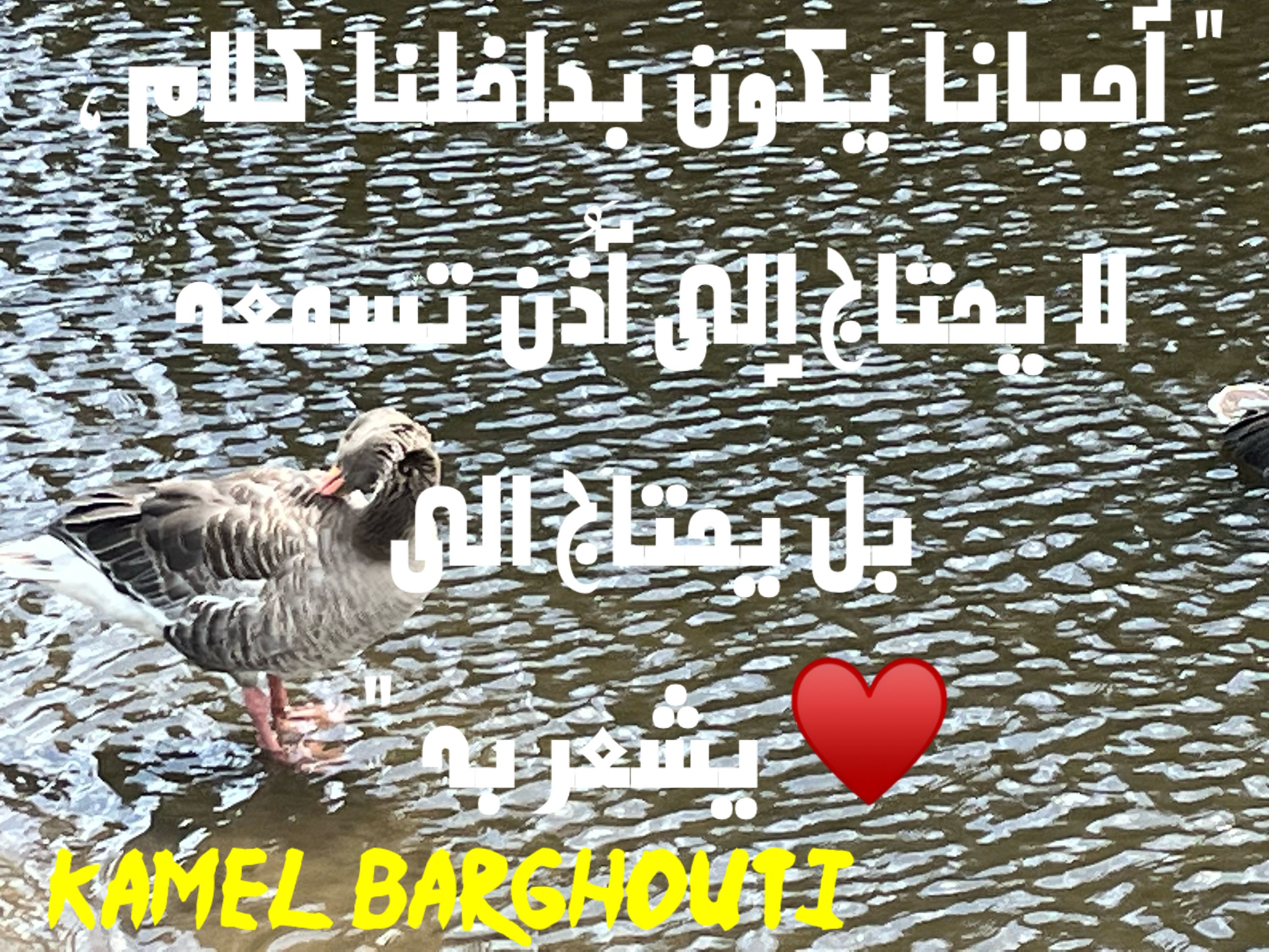 حب وحنين – اقتباس 194