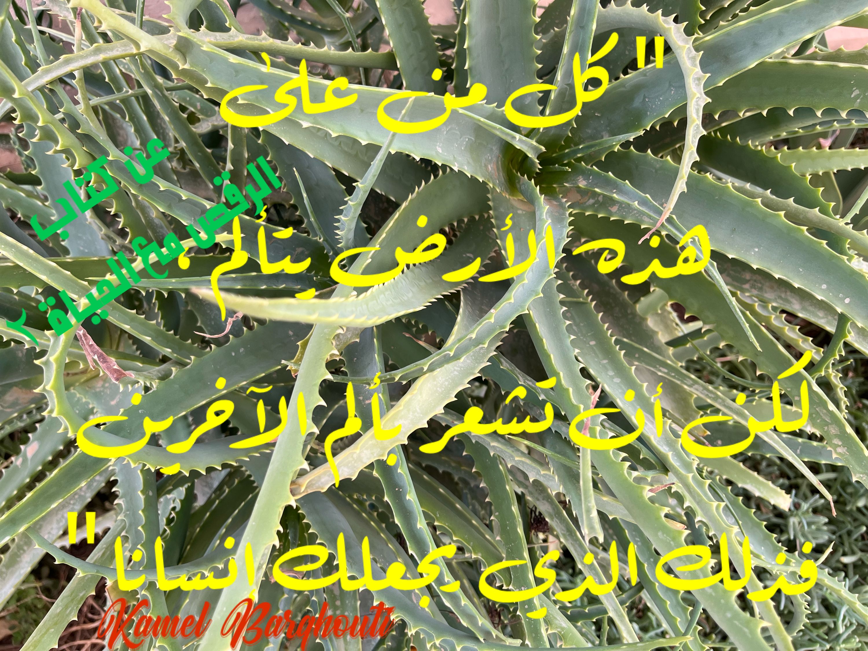 حب وحنين – اقتباس 189