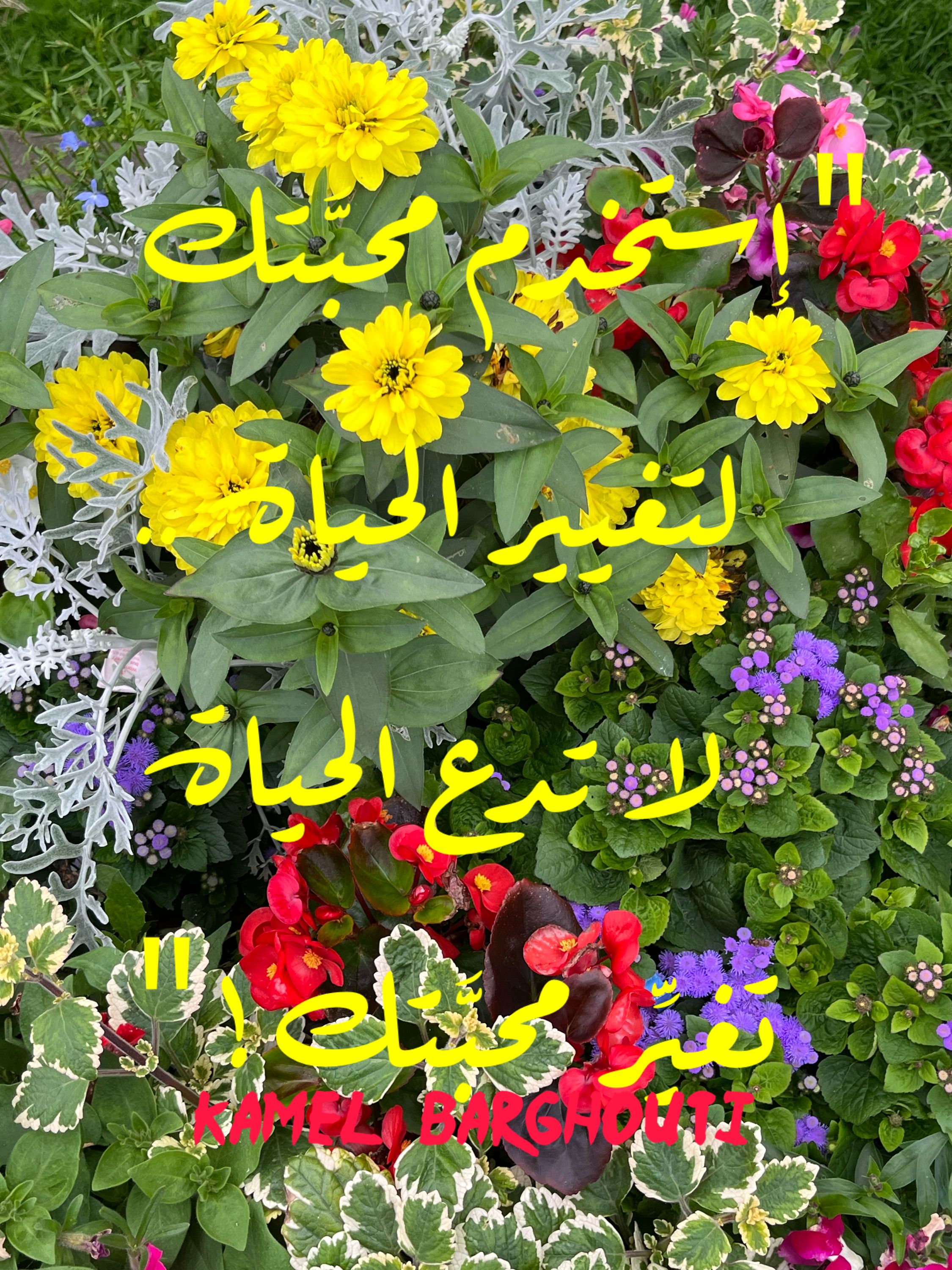 حب وحنين – اقتباس 169