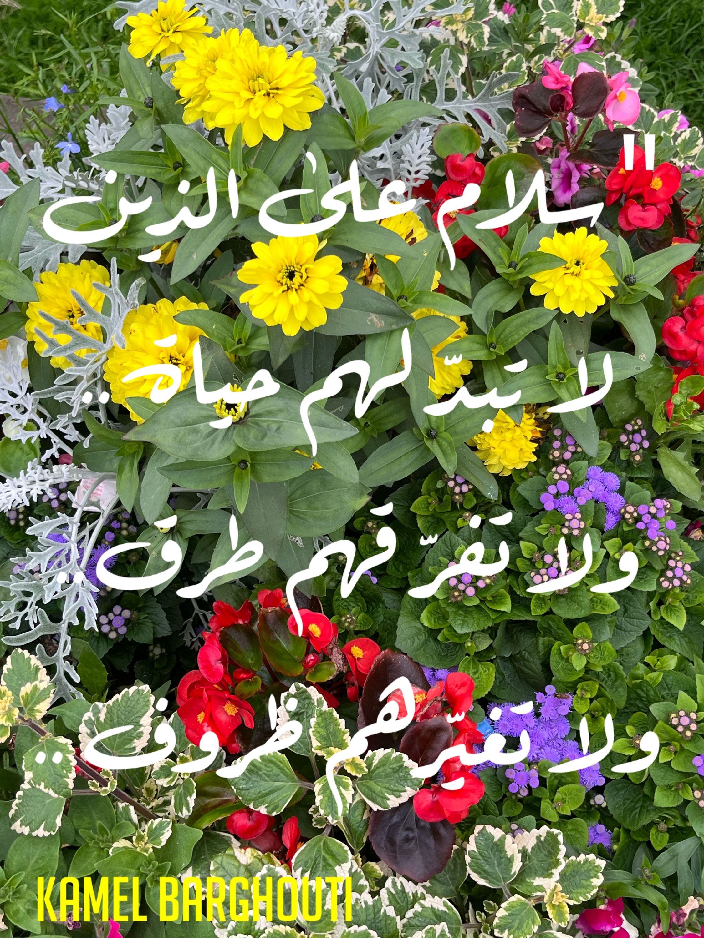 حب وحنين – اقتباس 168