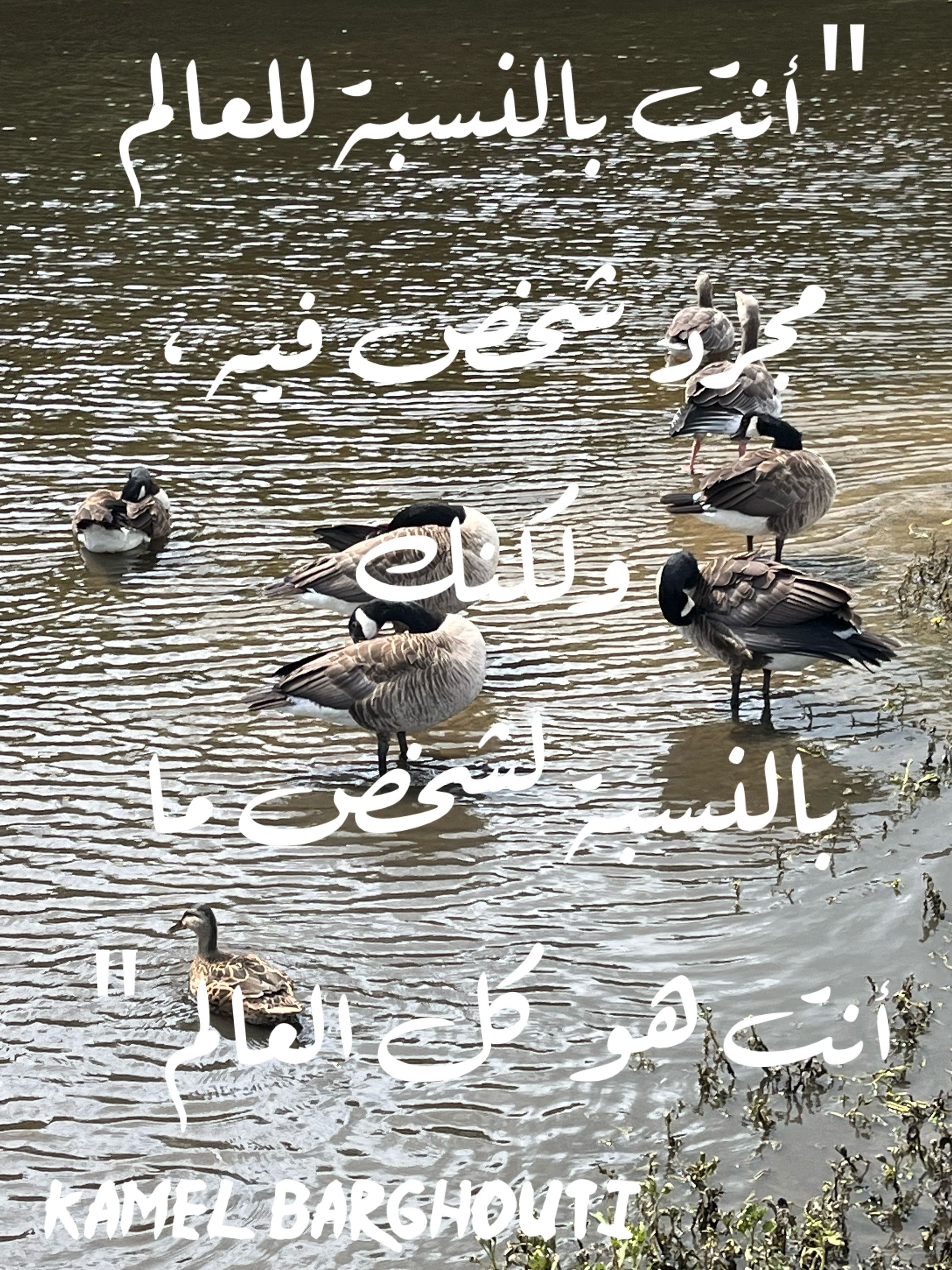 حب وحنين – اقتباس 161