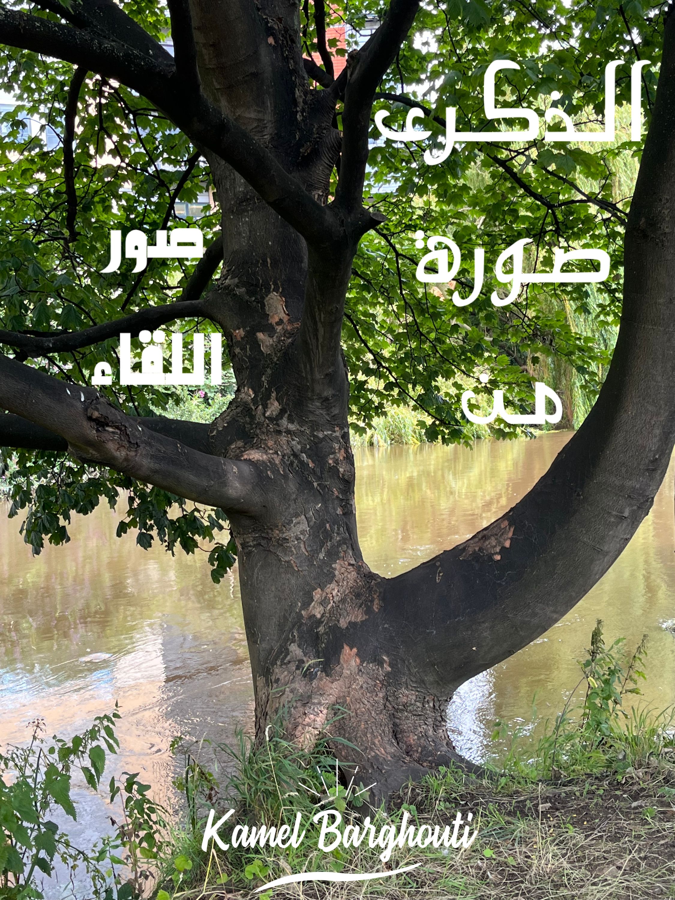 حب وحنين – اقتباس 148