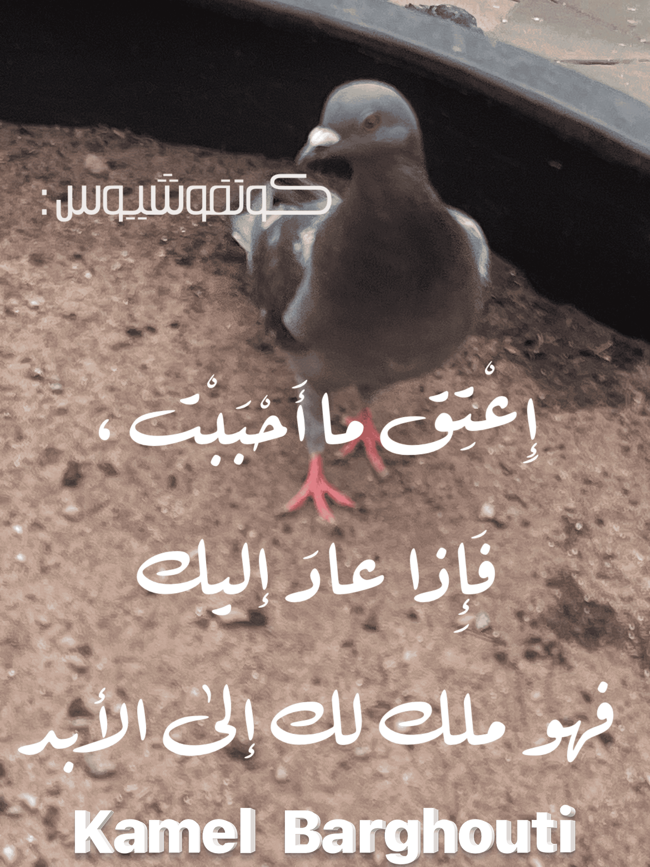 حب وحنين – اقتباس 138