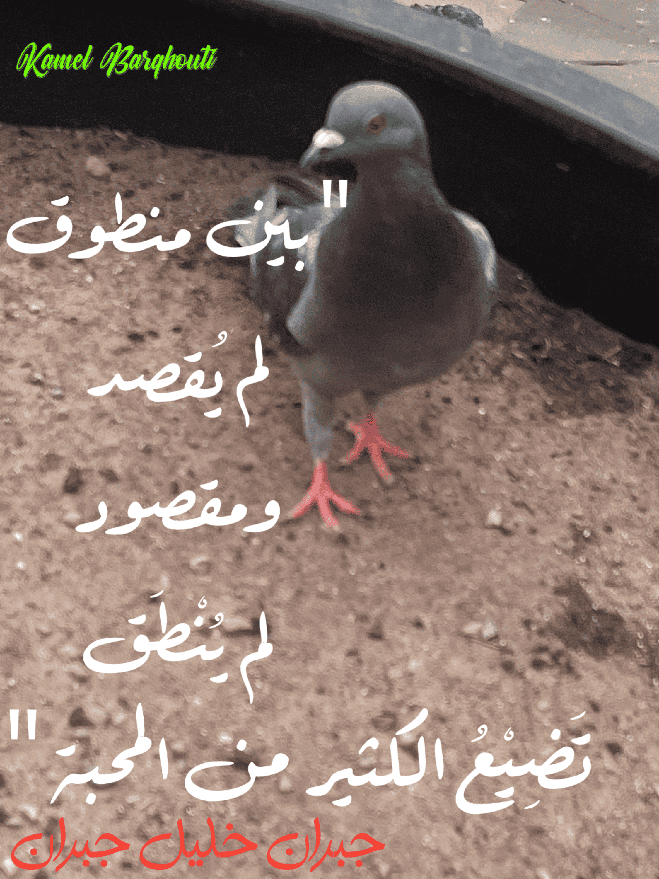 حب وحنين – اقتباس 136