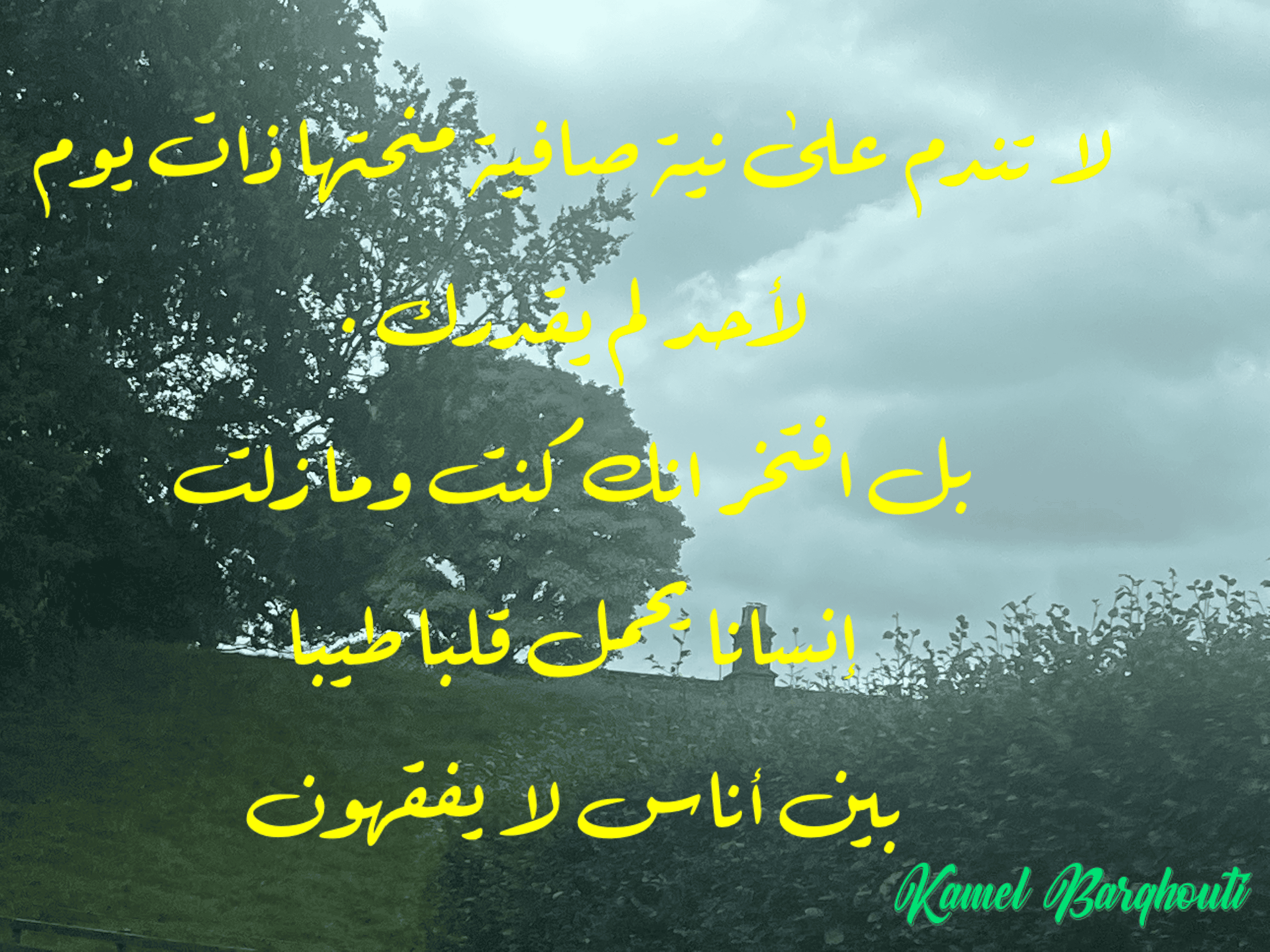 حب وحنين – اقتباس 139