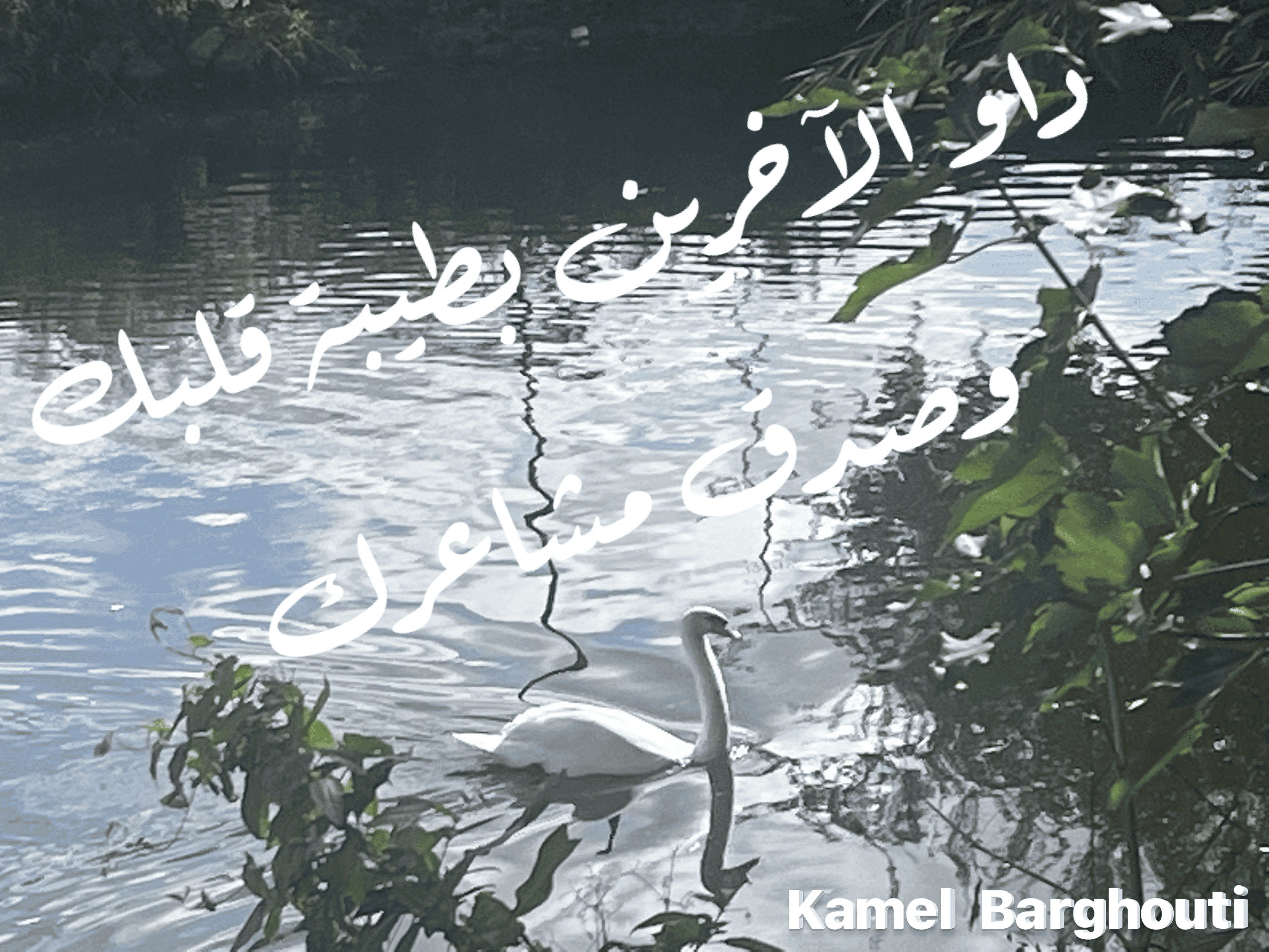حب وحنين – اقتباس 118