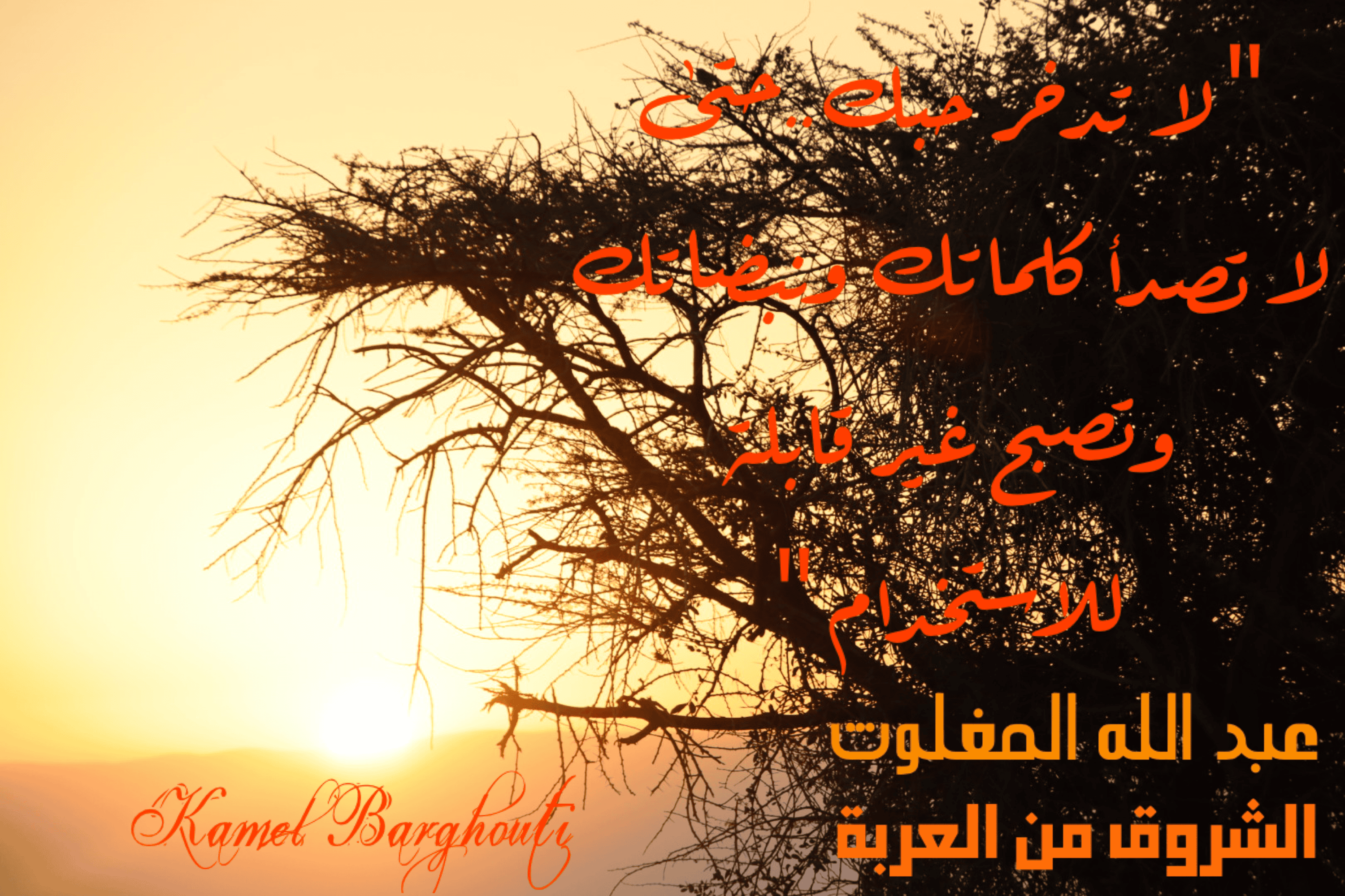 حب وحنين – اقتباس 120