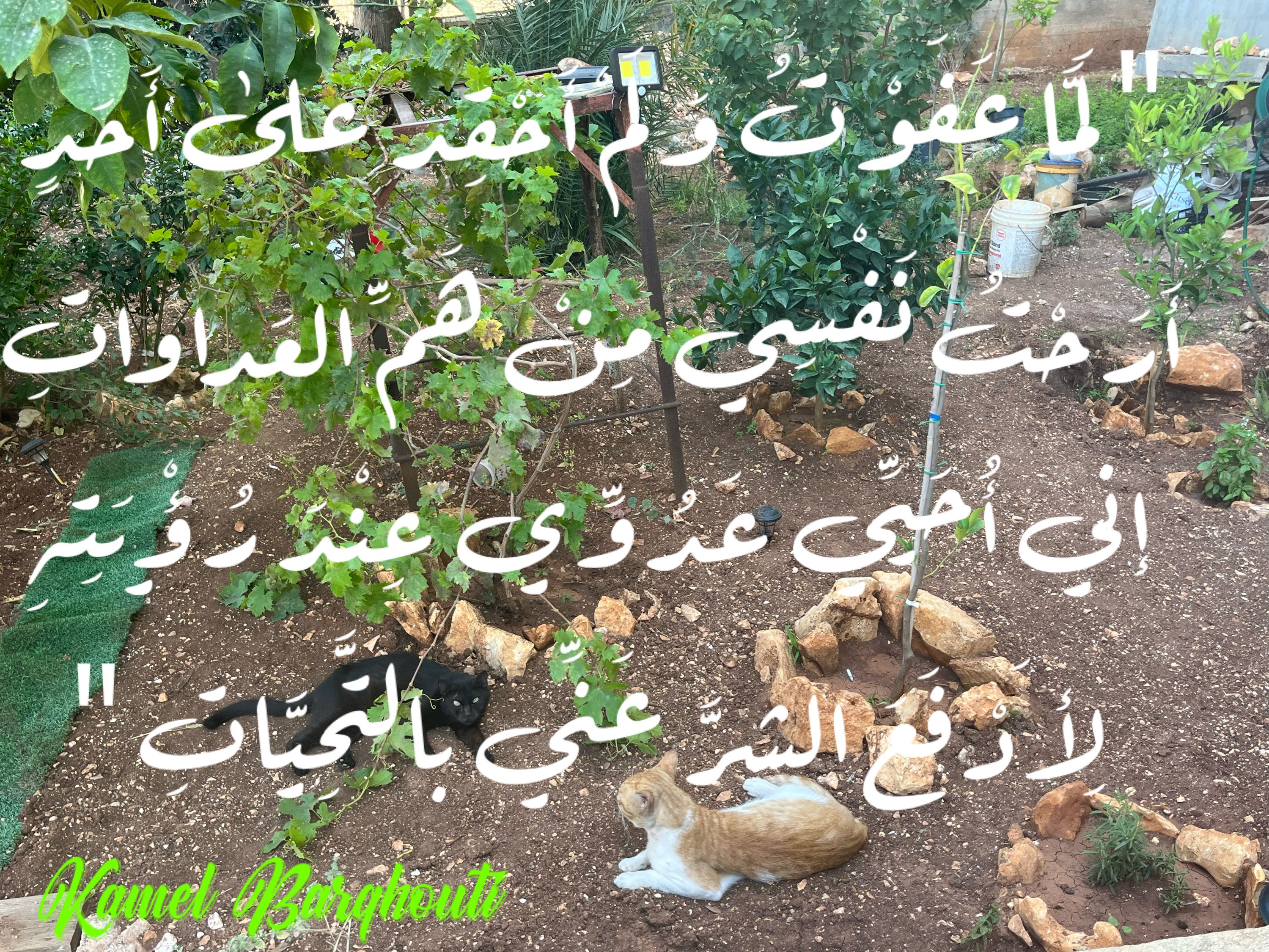 حب وحنين – اقتباس 113