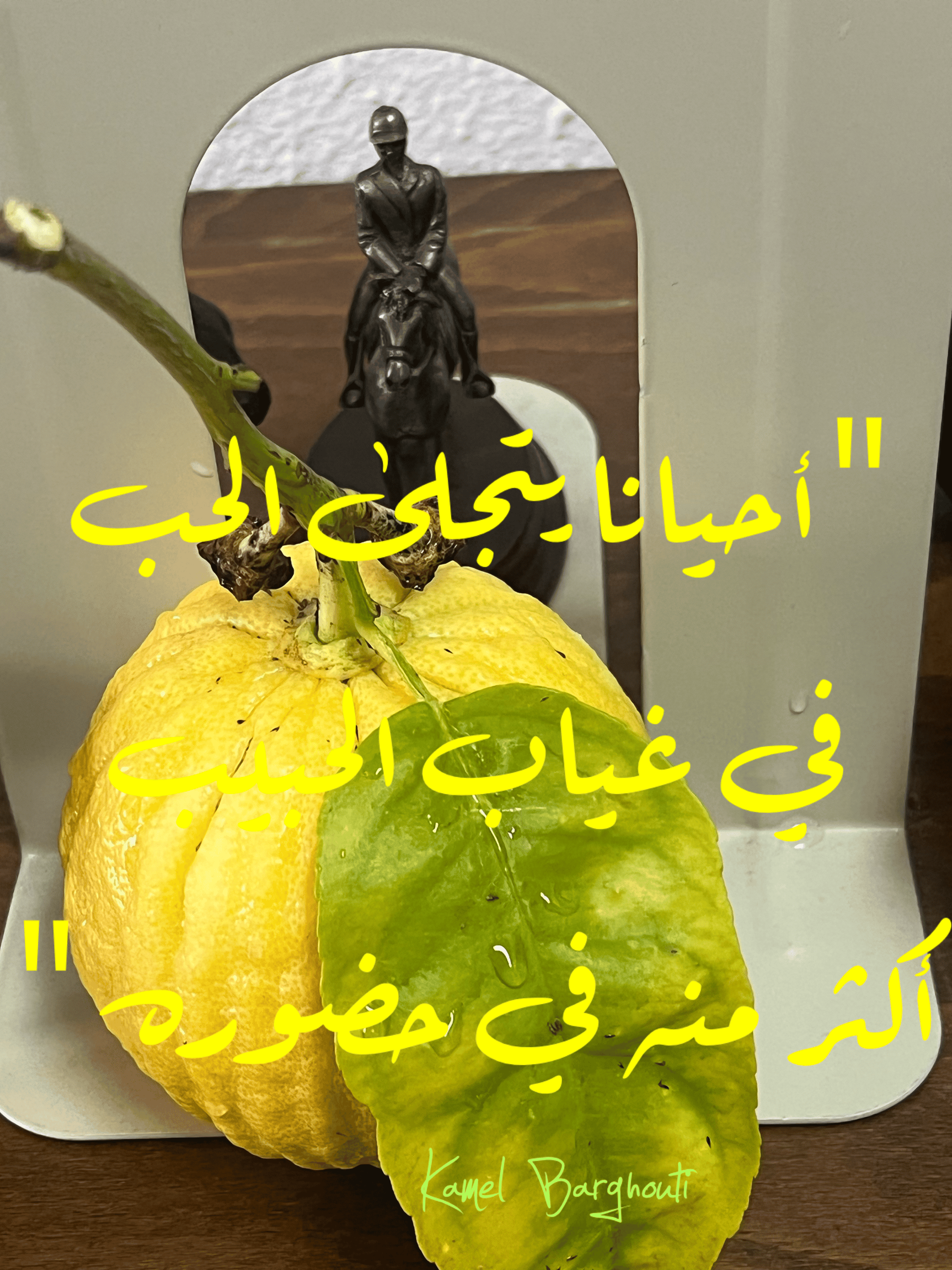حب وحنين – اقتباس 111