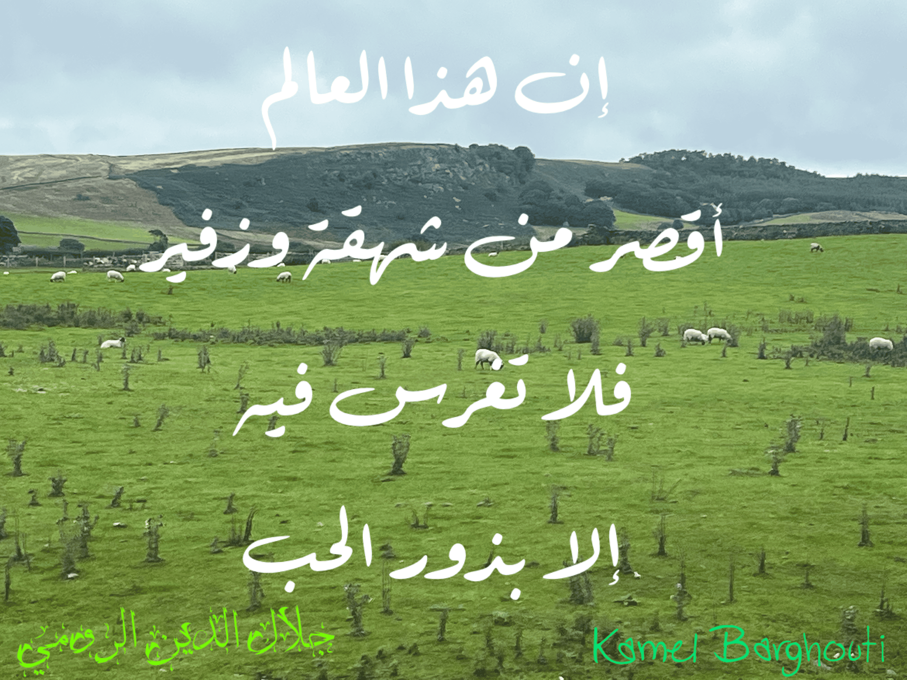 حب وحنين – اقتباس 105