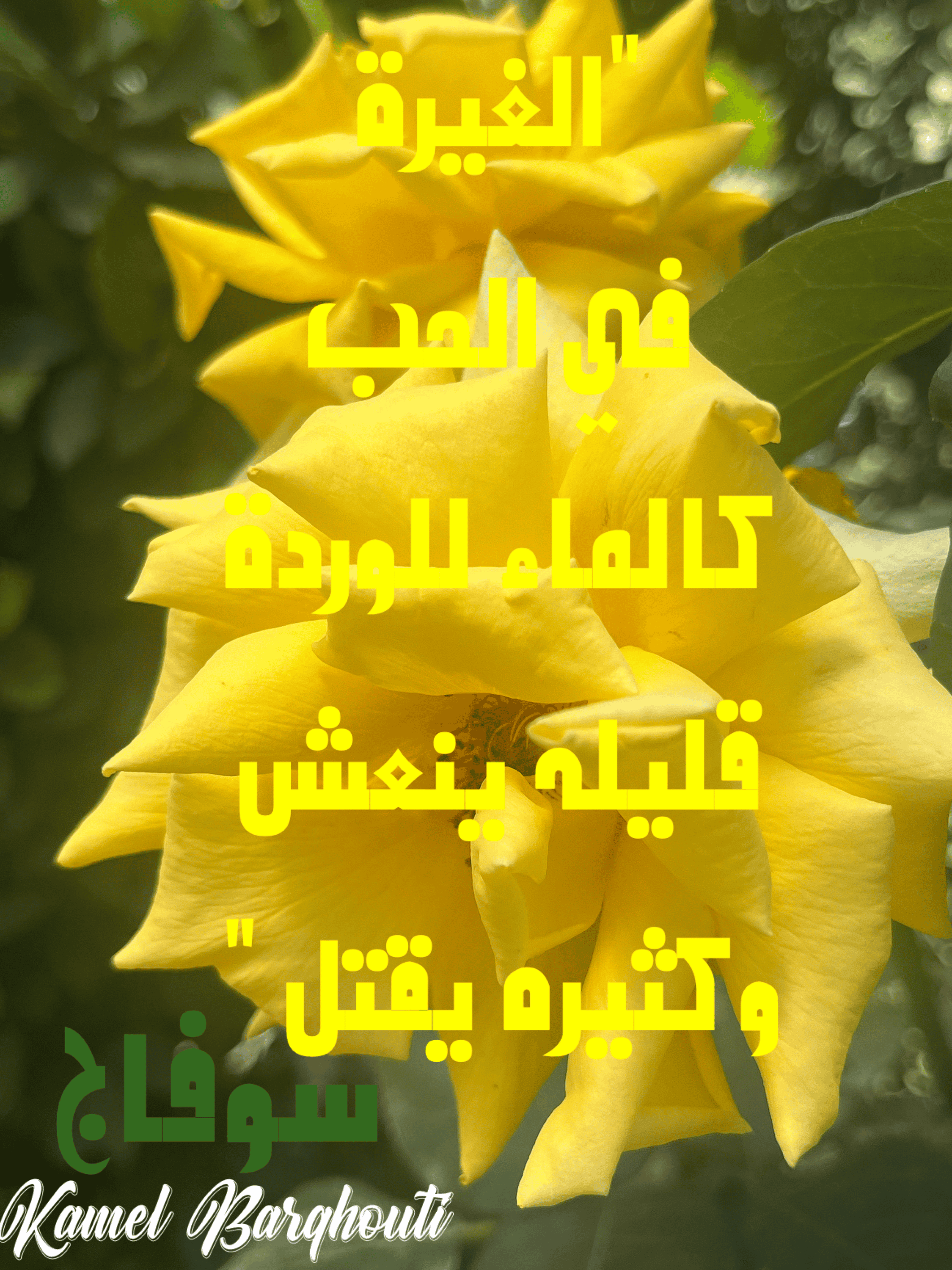 حب وحنين – اقتباس 108