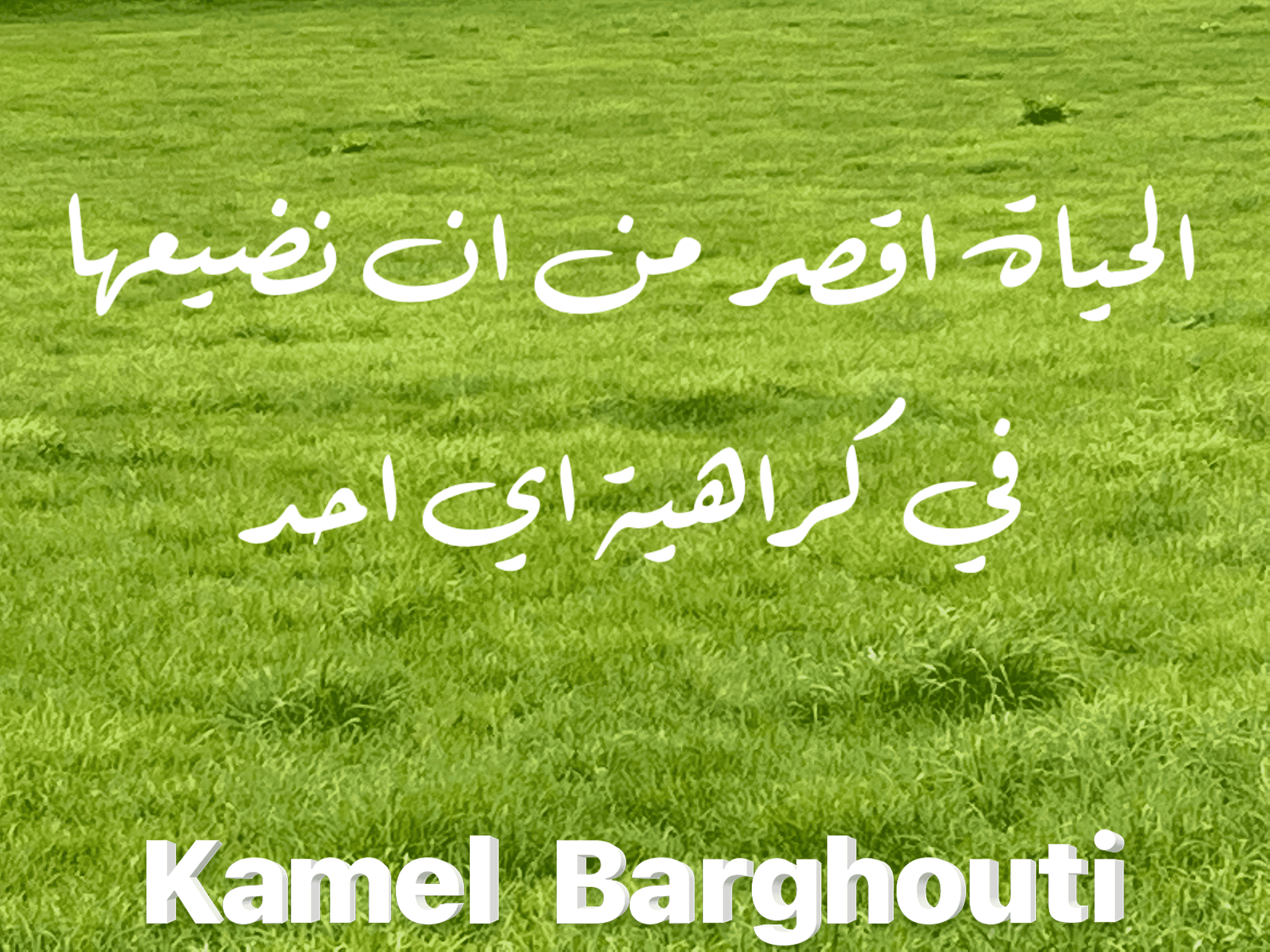 حب وحنين – اقتباس 101
