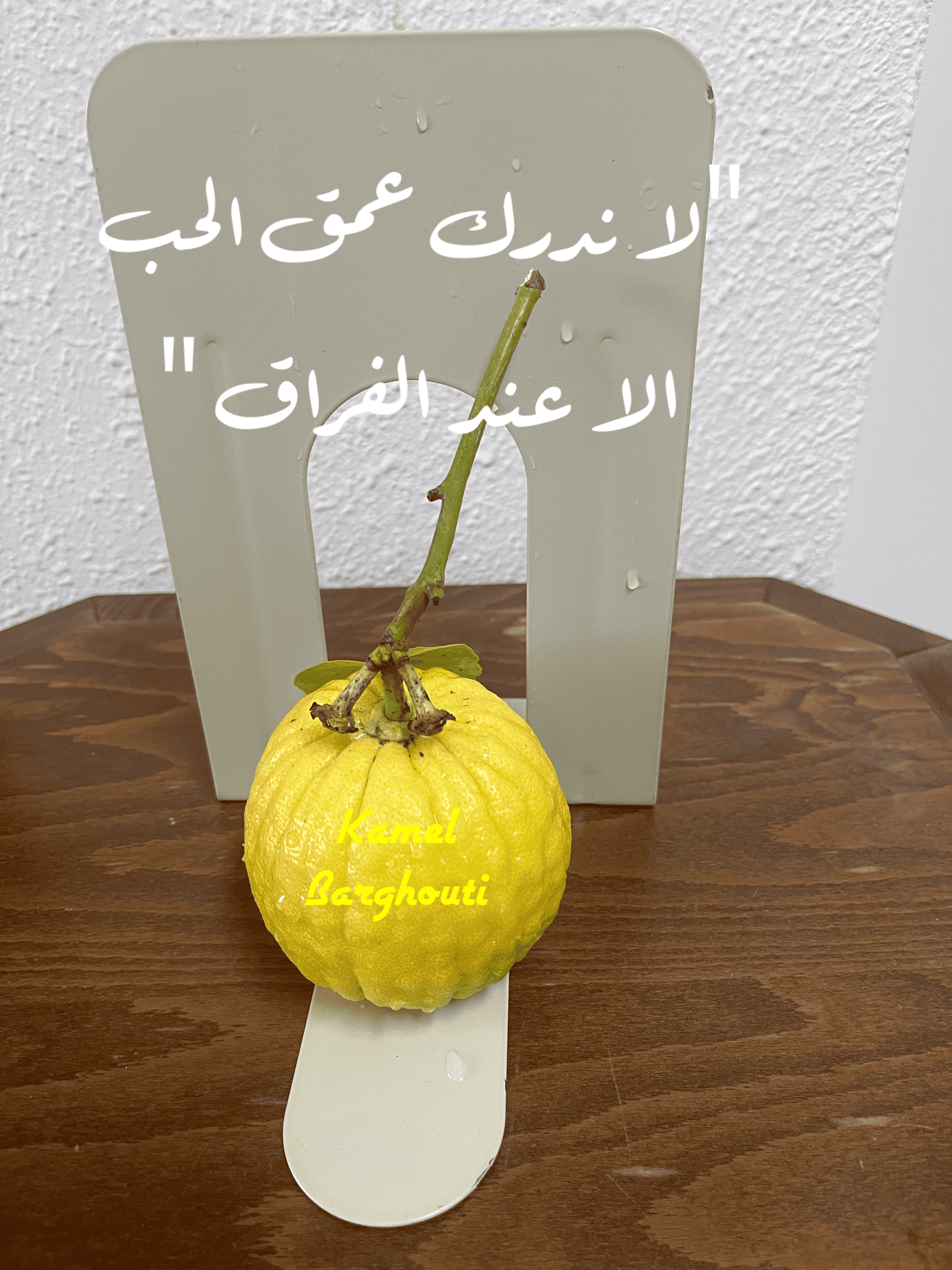 حب وحنين – اقتباس 100