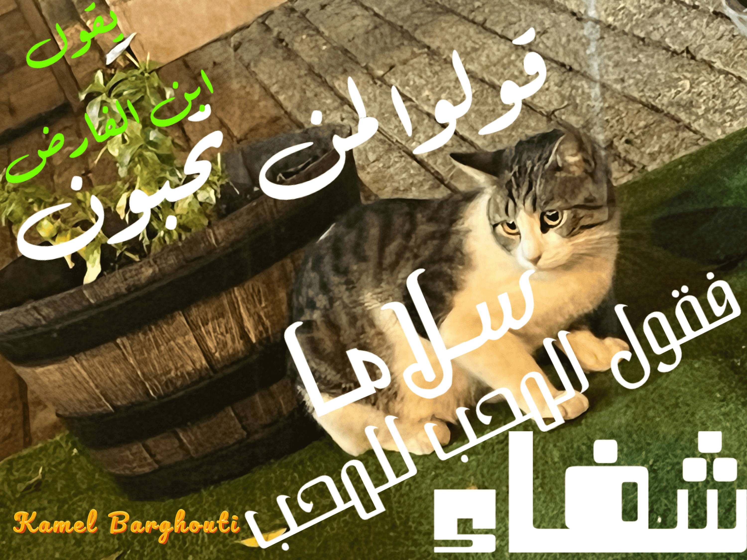 حب وحنين – اقتباس 93