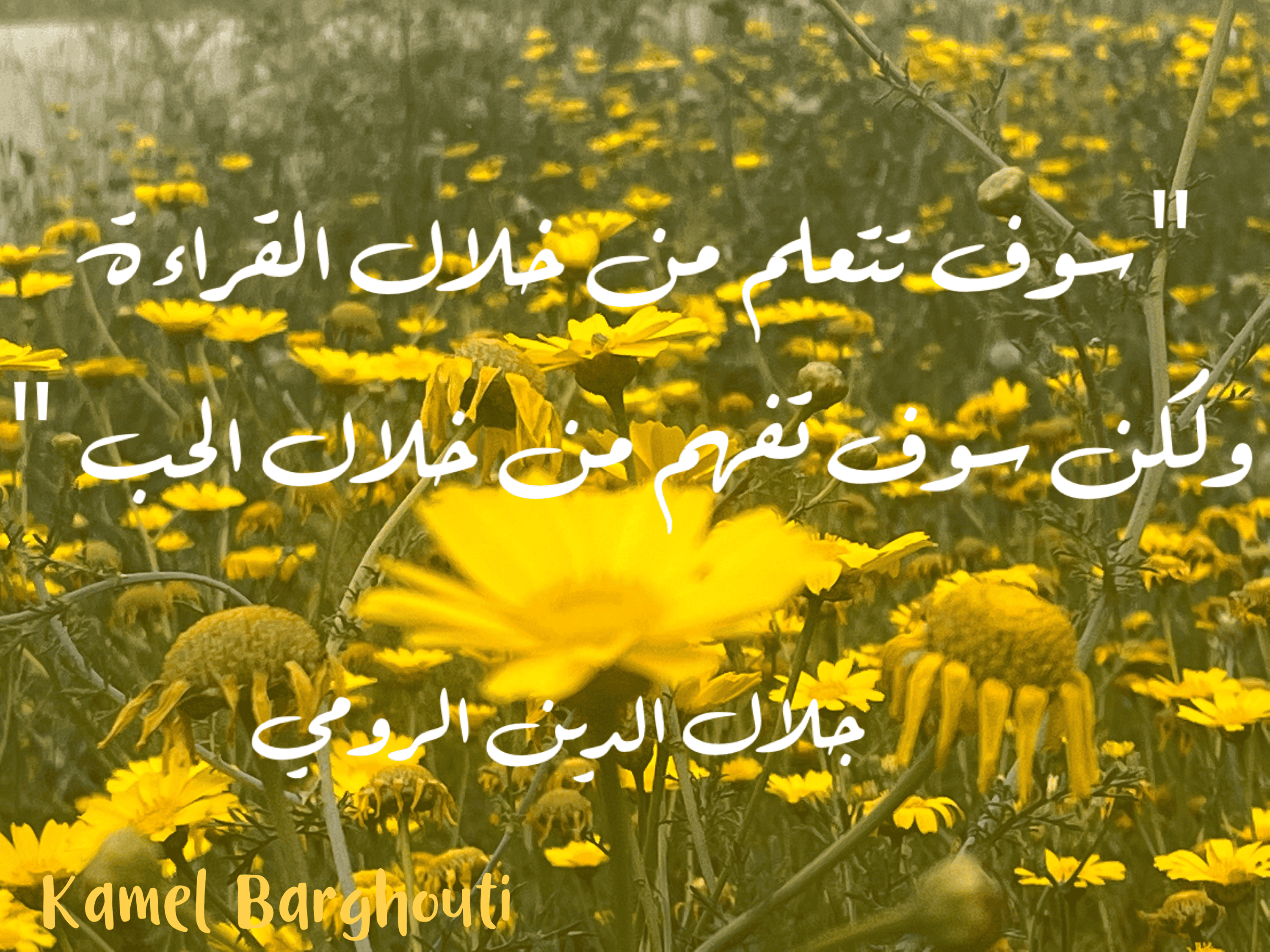 حب وحنين – اقتباس 89