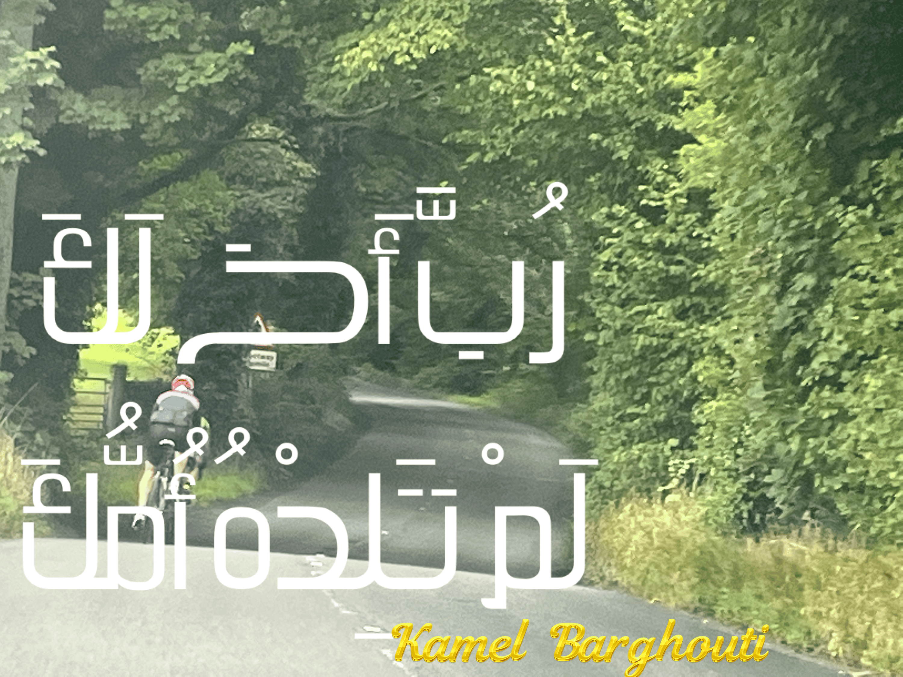 حب وحنين – اقتباس 82