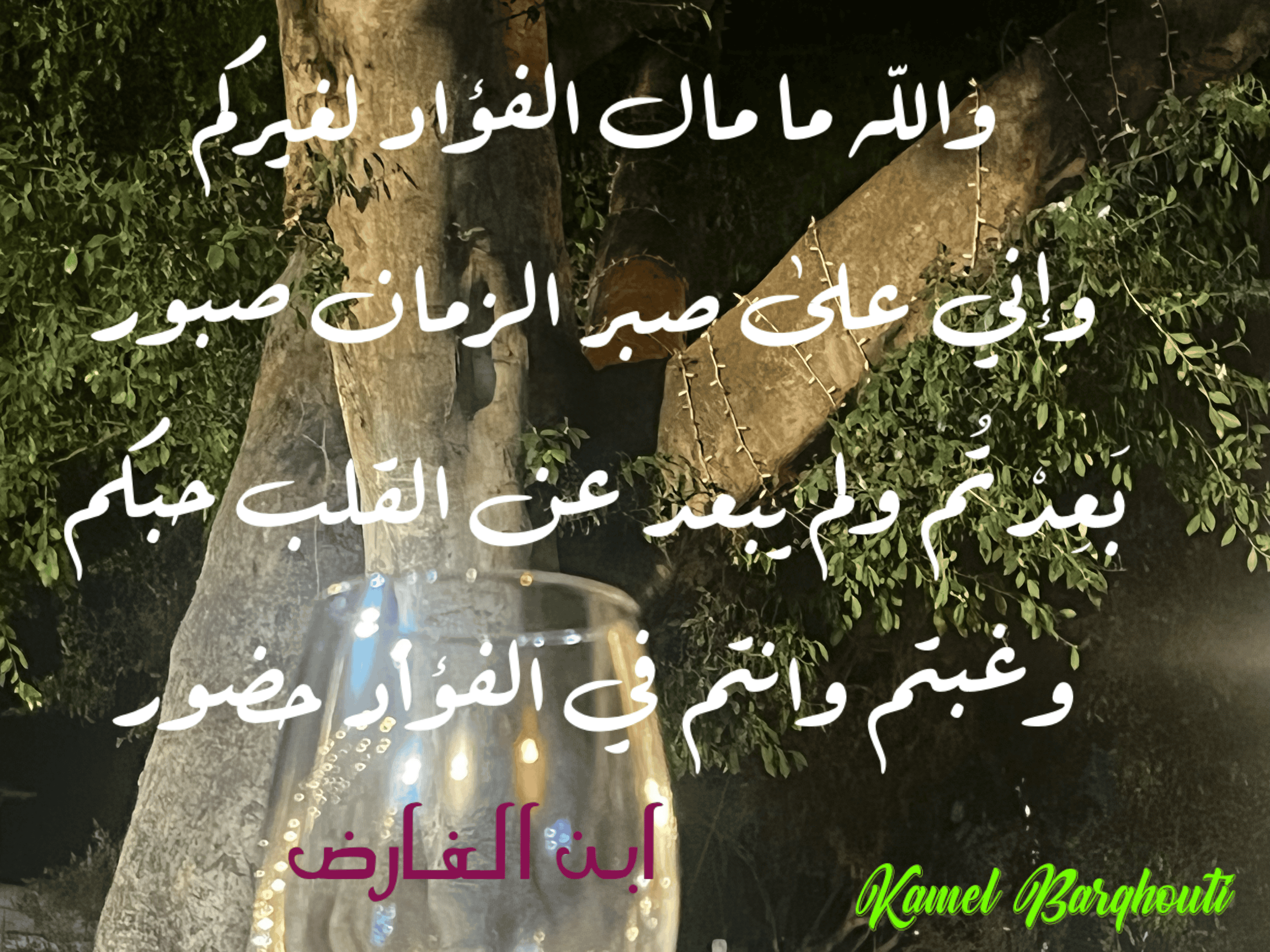 حب وحنين – اقتباس 78