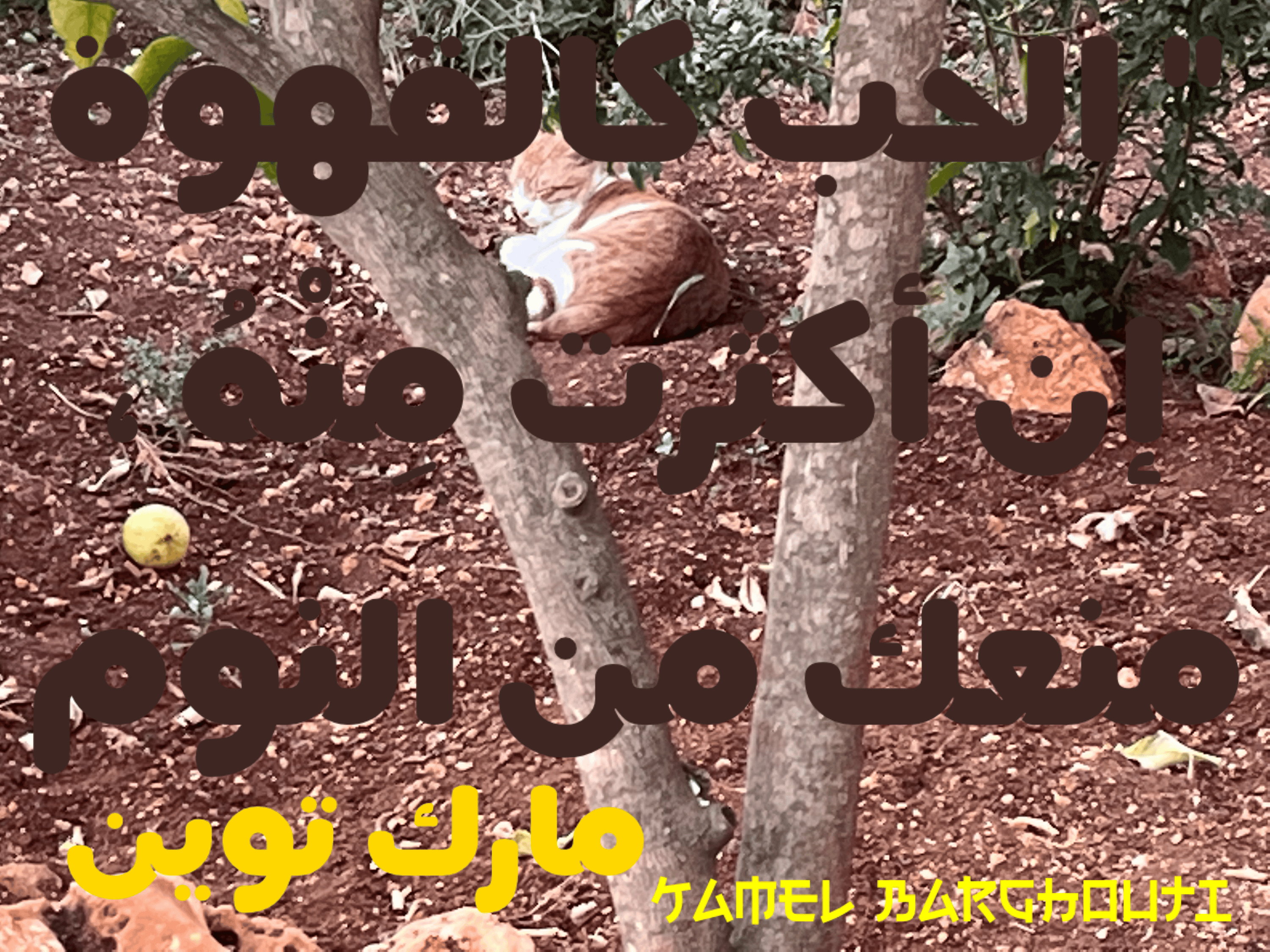 حب وحنين – اقتباس 74