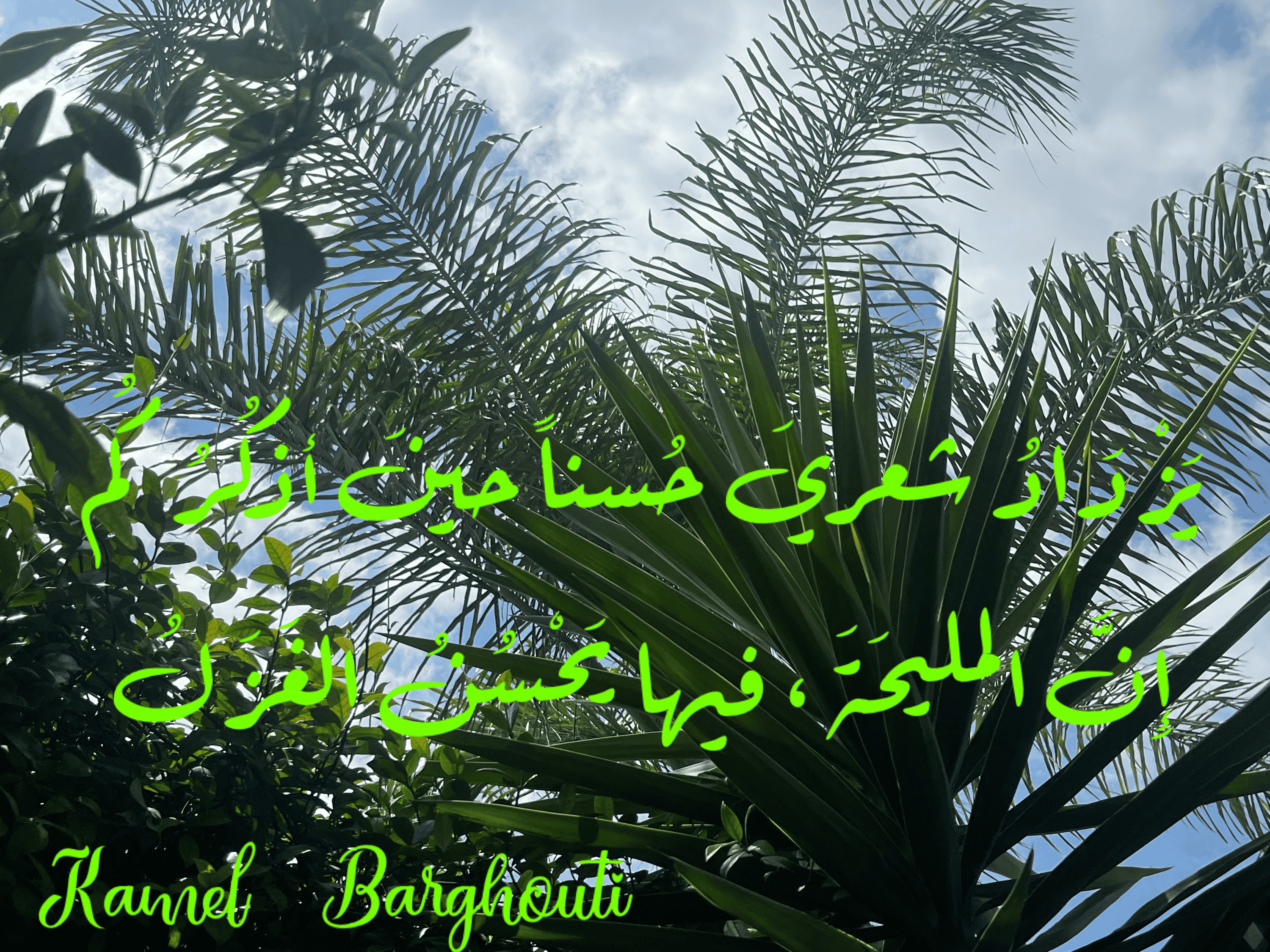 حب وحنين – اقتباس 70