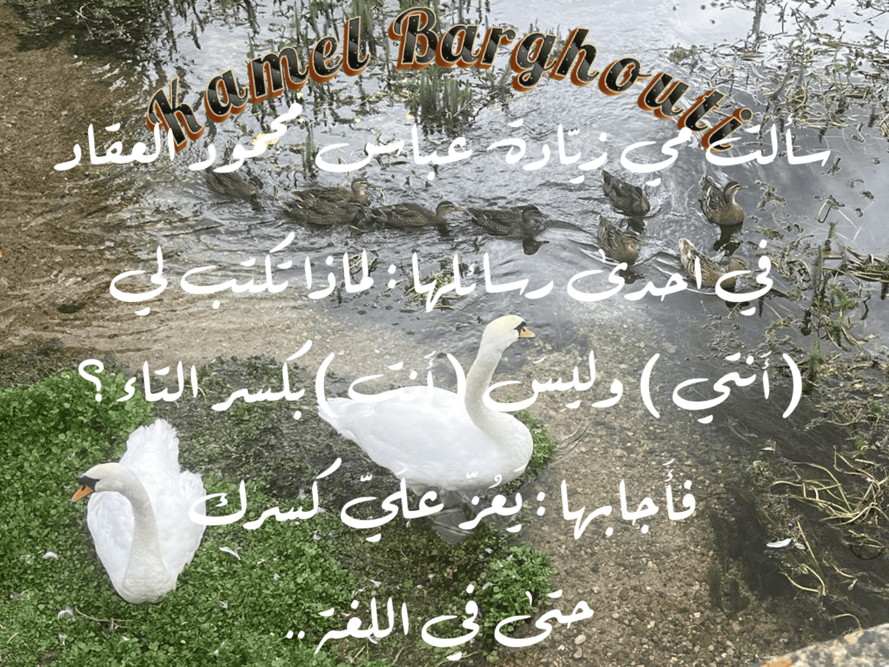 حب وحنين – اقتباس 58