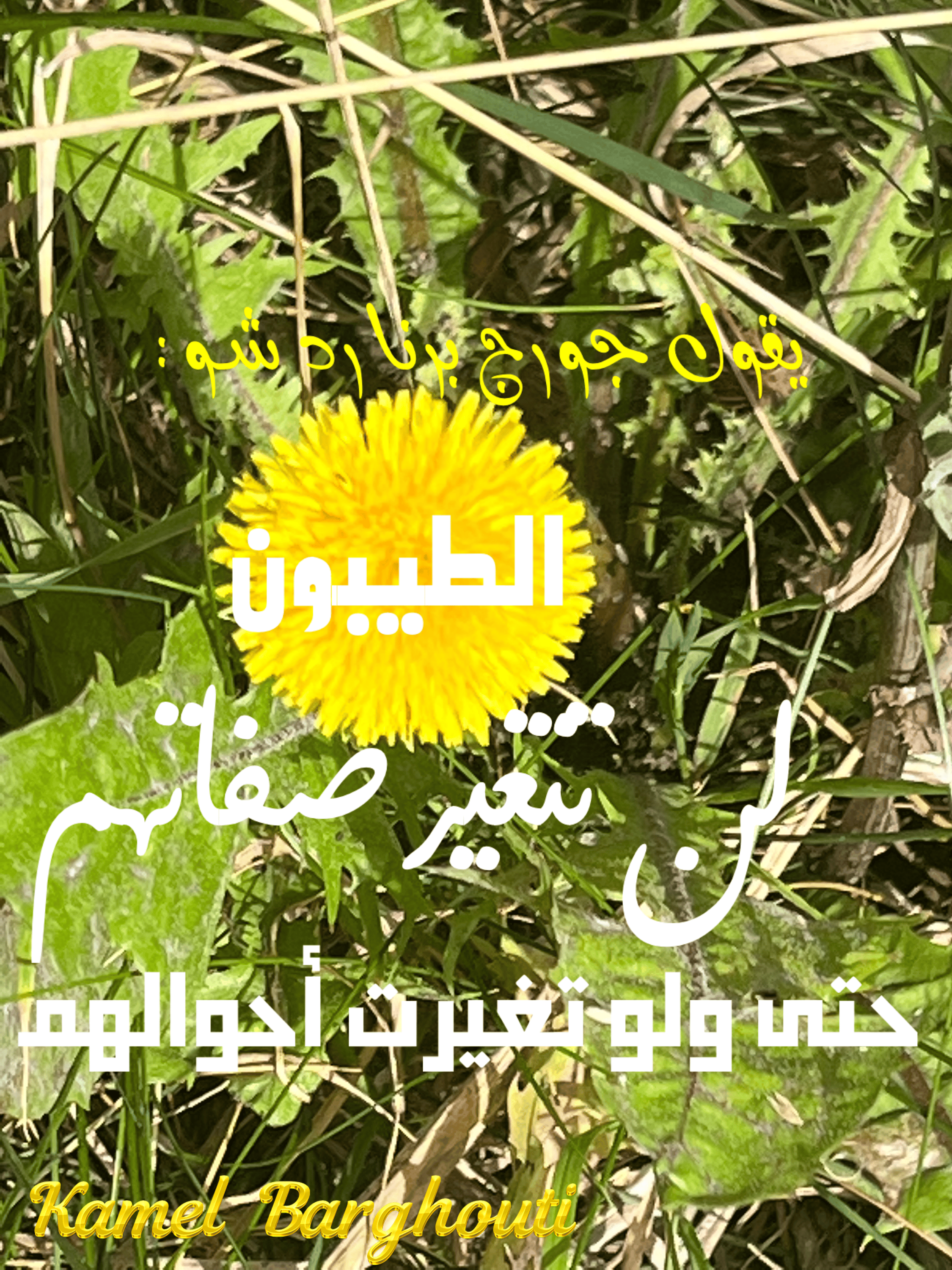 حب وحنين – اقتباس 55