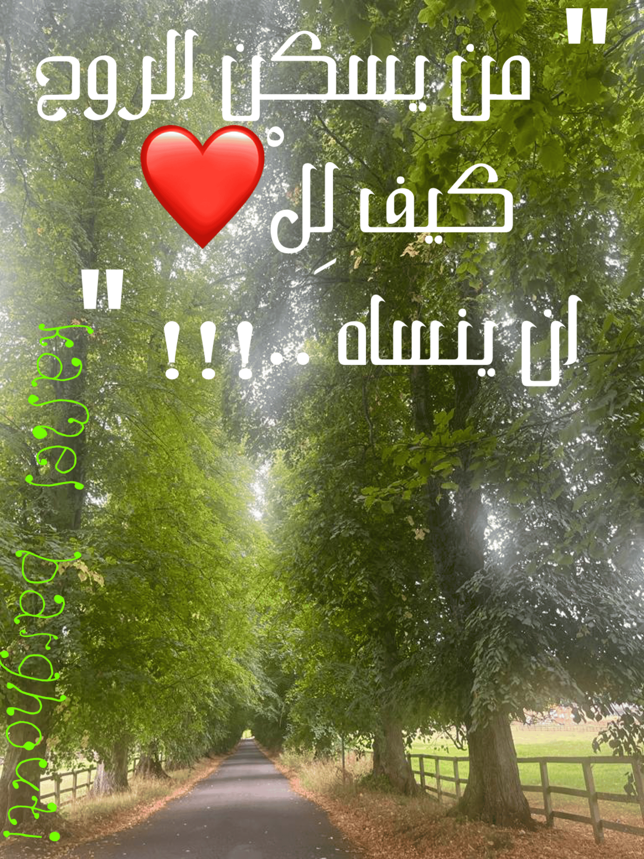 حب وحنين – اقتباس 50