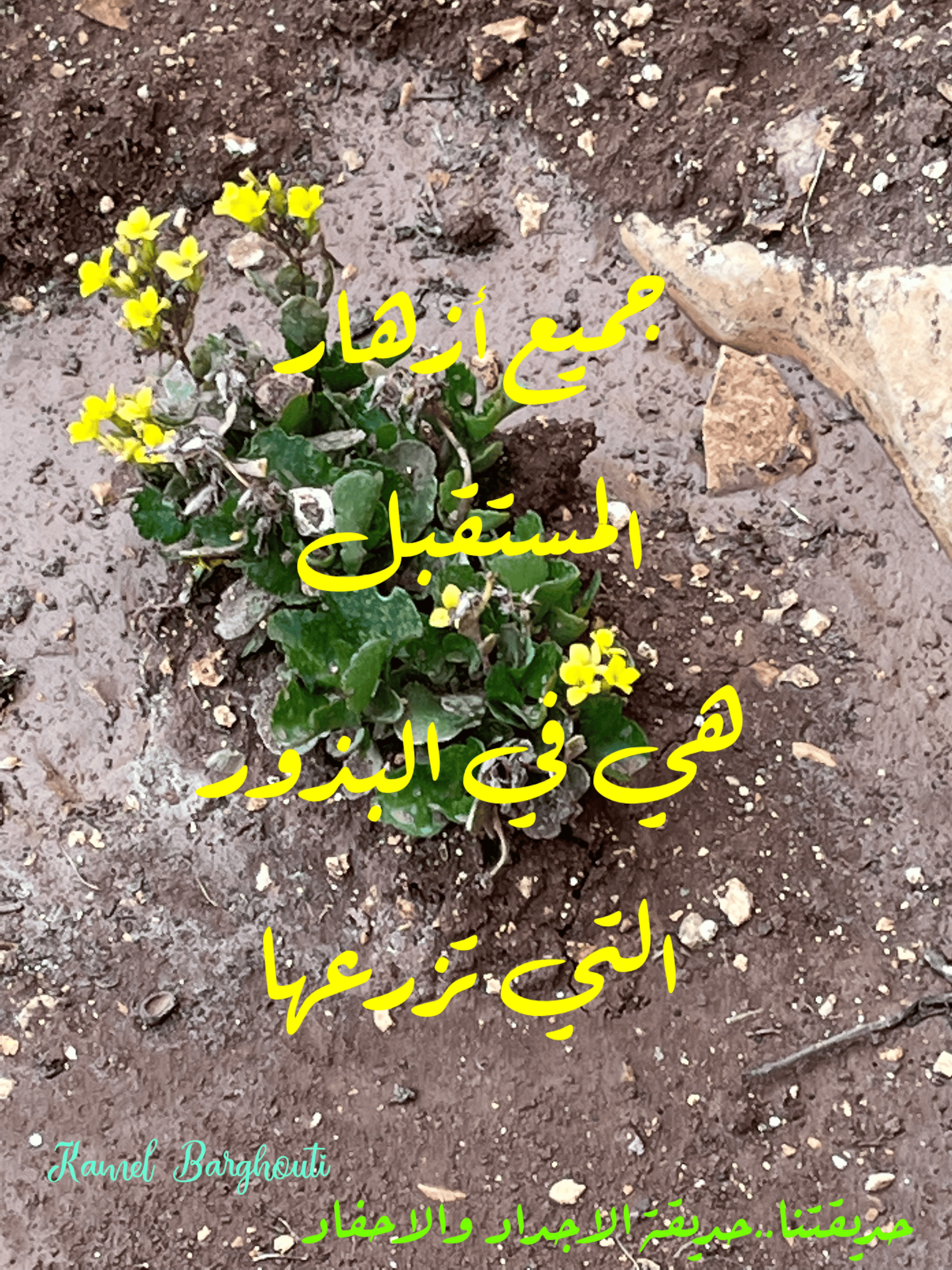حب وحنين – اقتباس 47