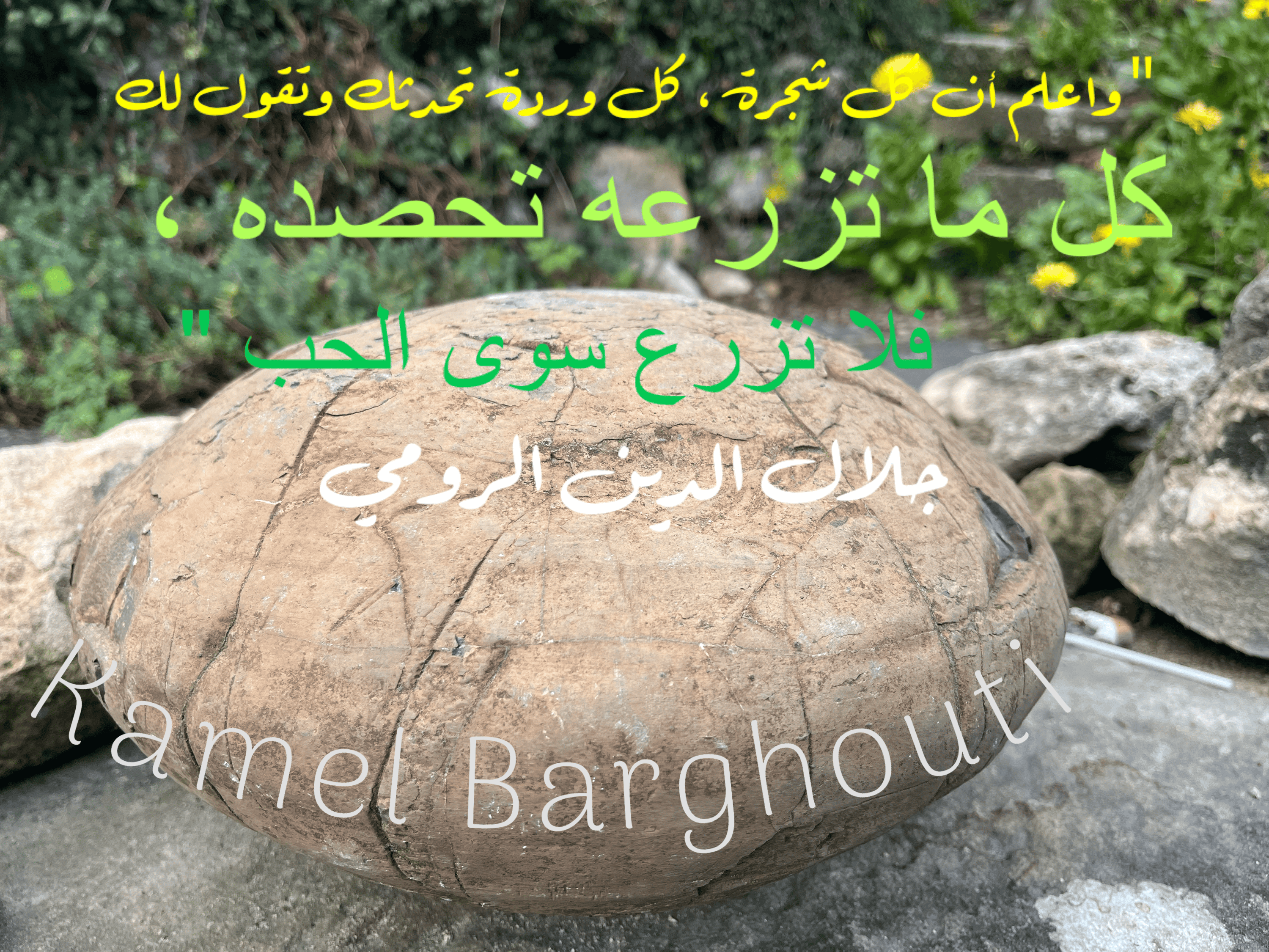 حب وحنين – اقتباس 52