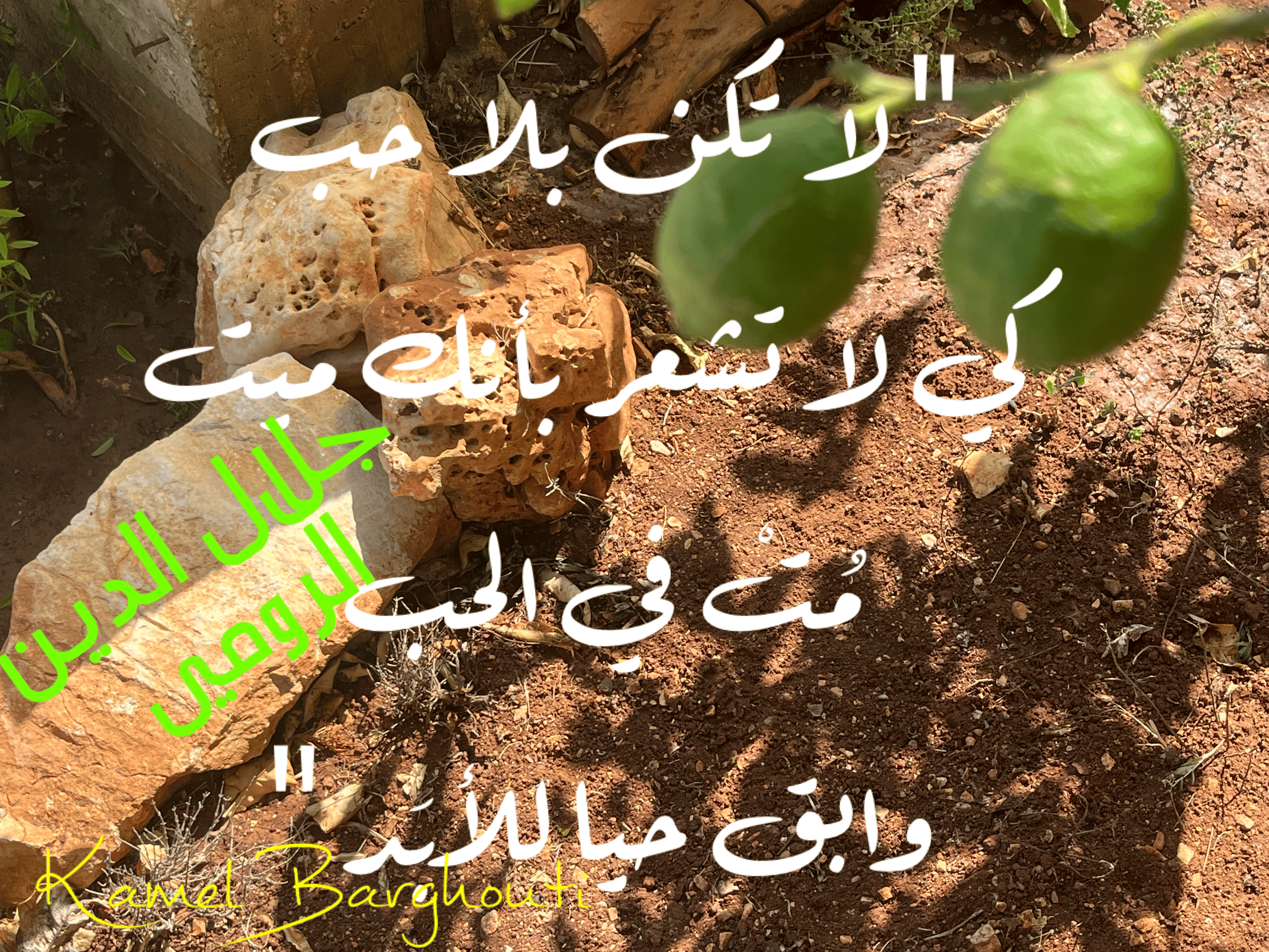 حب وحنين – اقتباس 41
