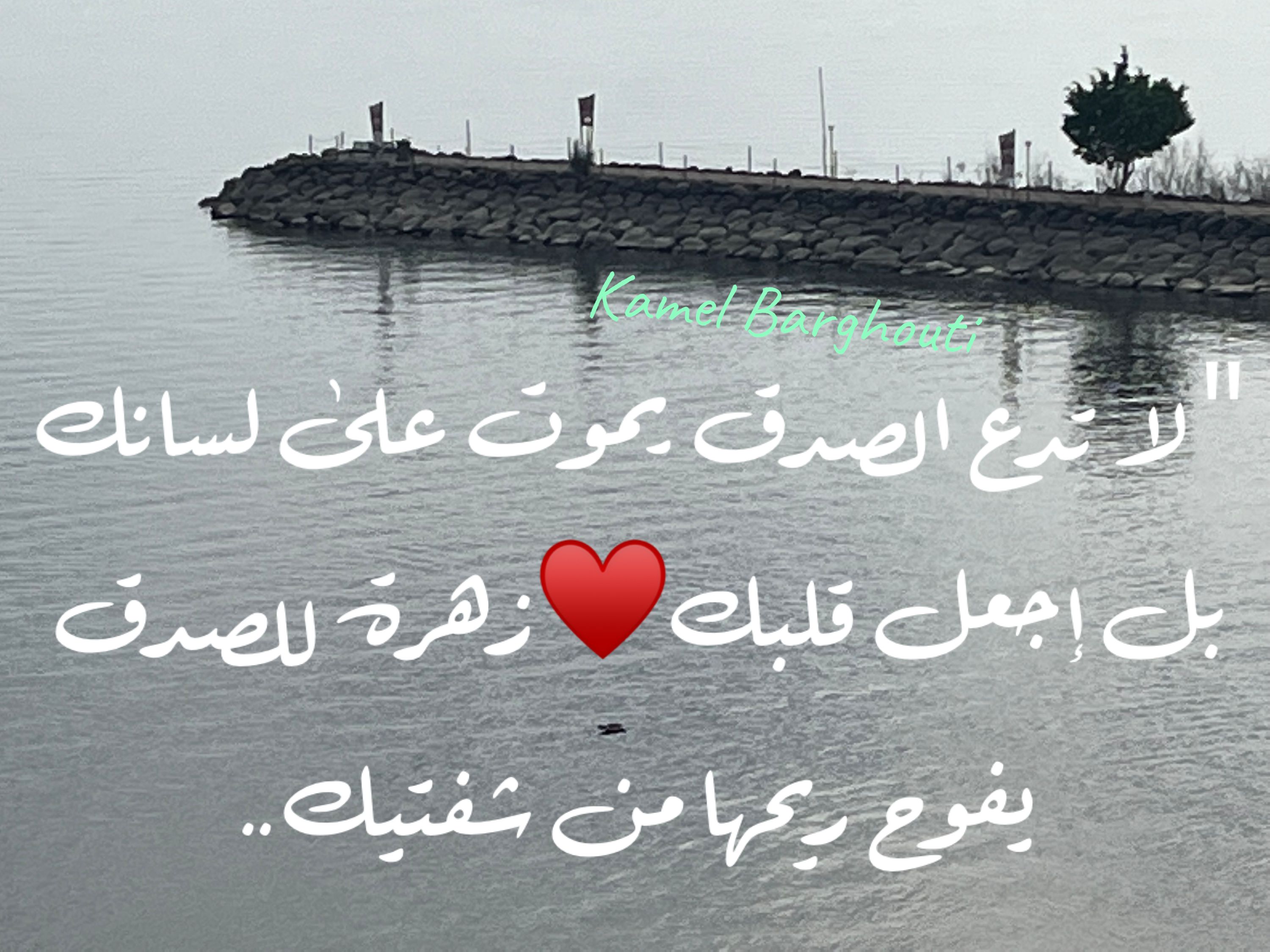 الحق والعدل والصدق – اقتباس 109