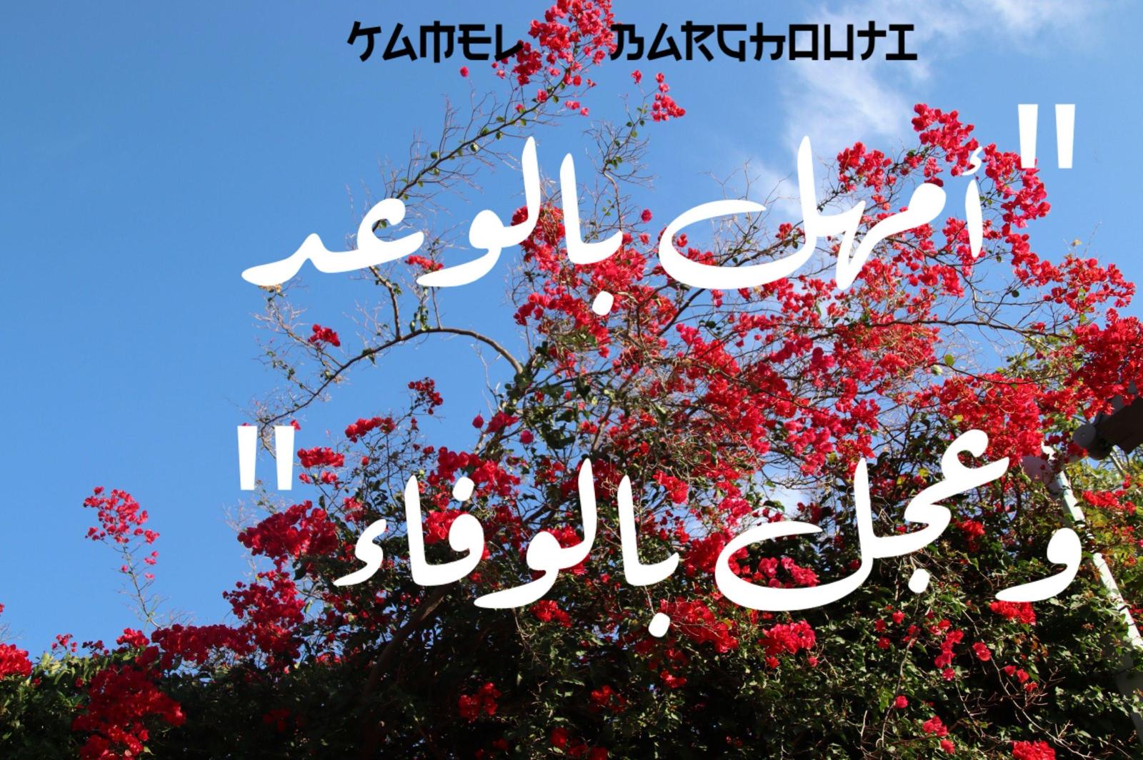 الحق والعدل والصدق – اقتباس 117