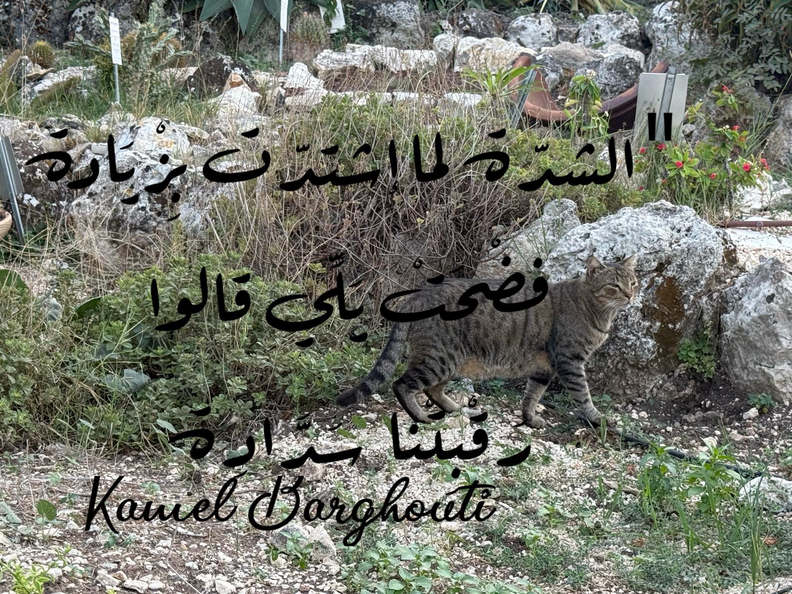 الحق والعدل والصدق – اقتباس 128