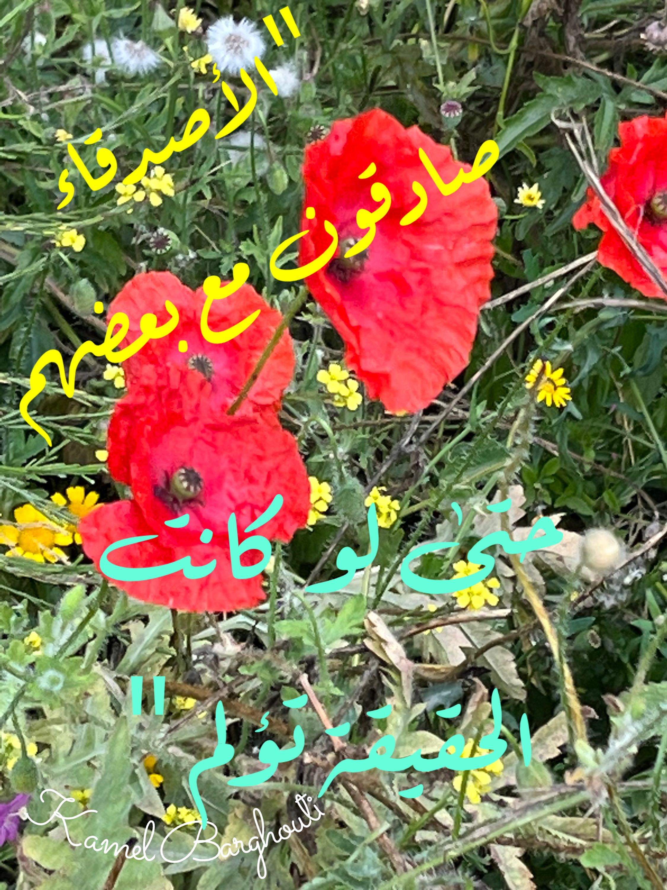 الحق والعدل والصدق – اقتباس 100